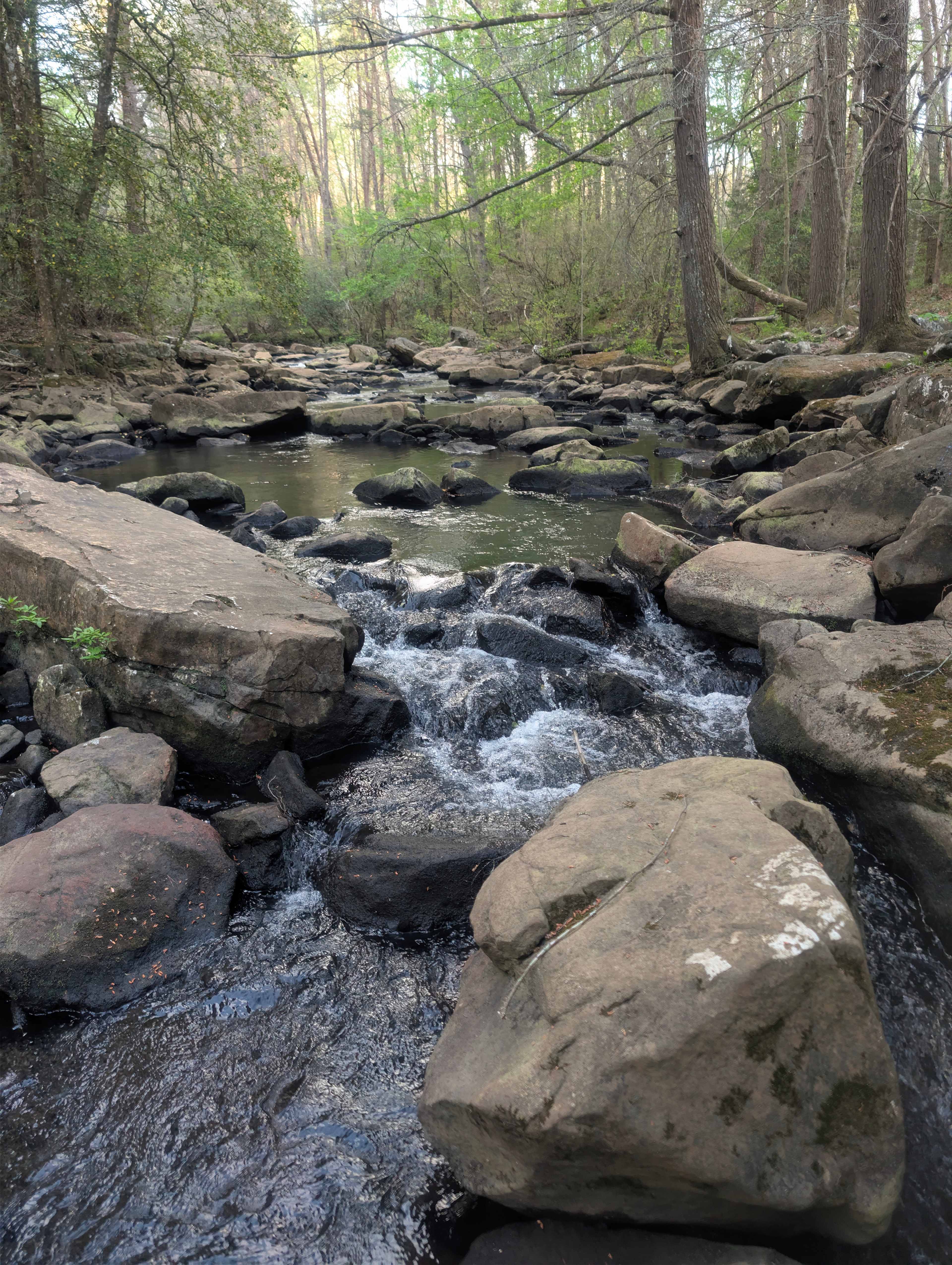 Beautiful stream to explore 