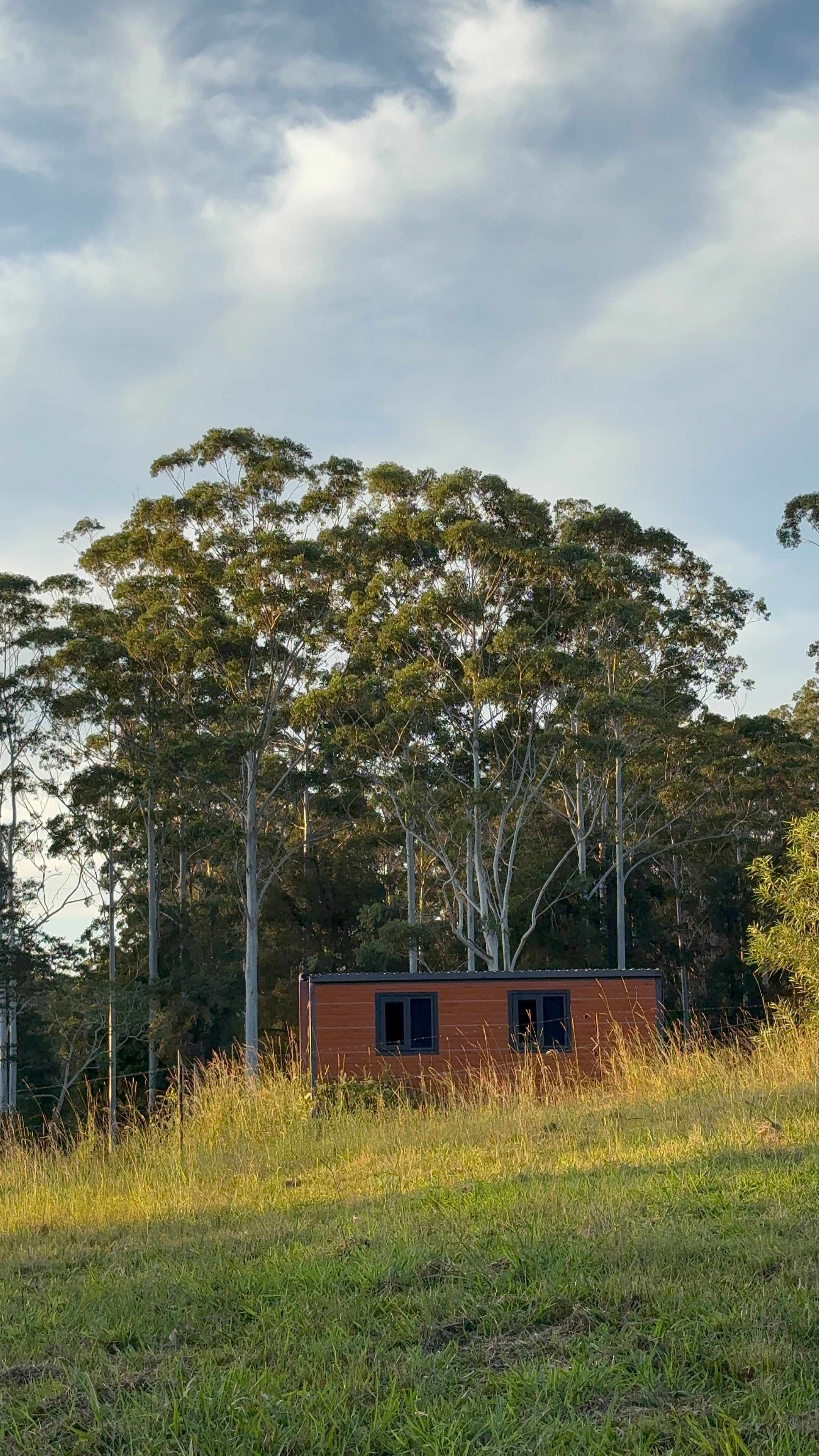 Bucca Valley Blueberries Farmstay