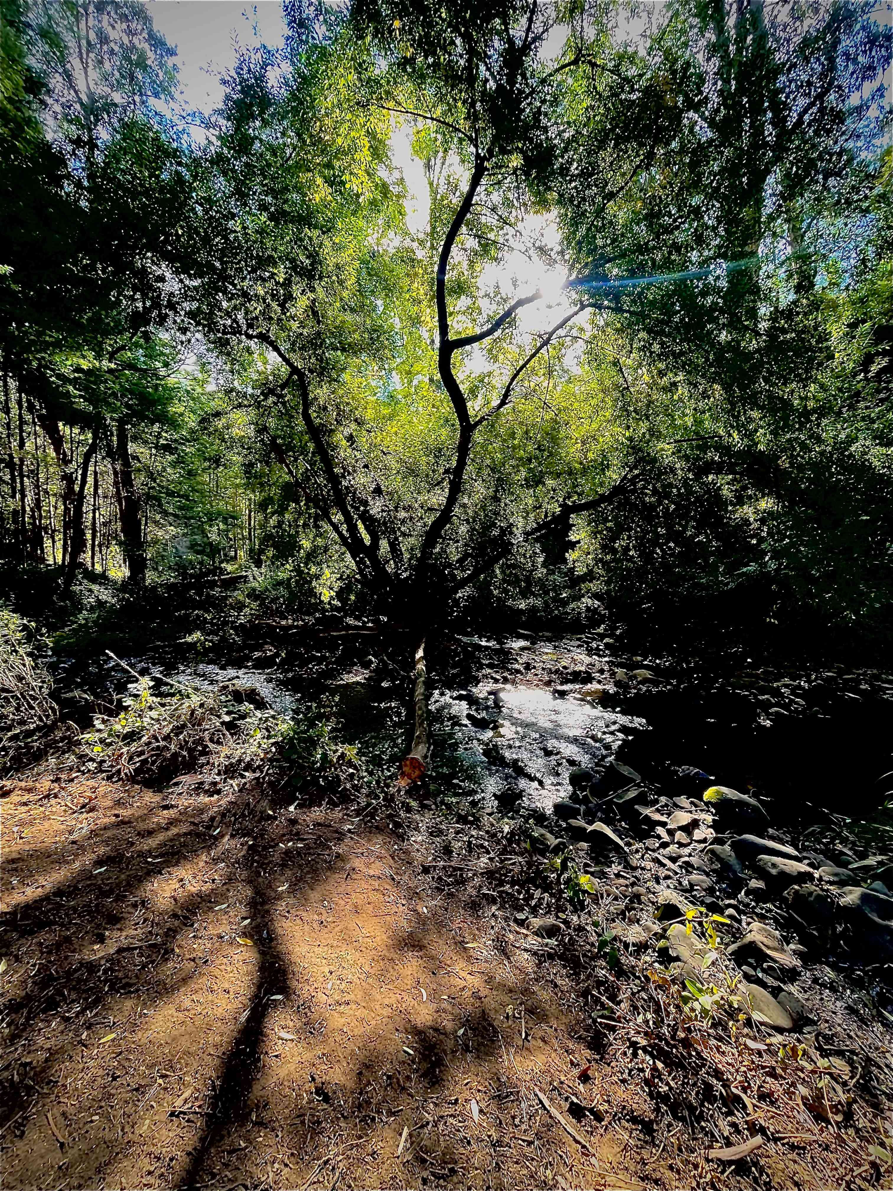 Merrimans Creek Seclusion
