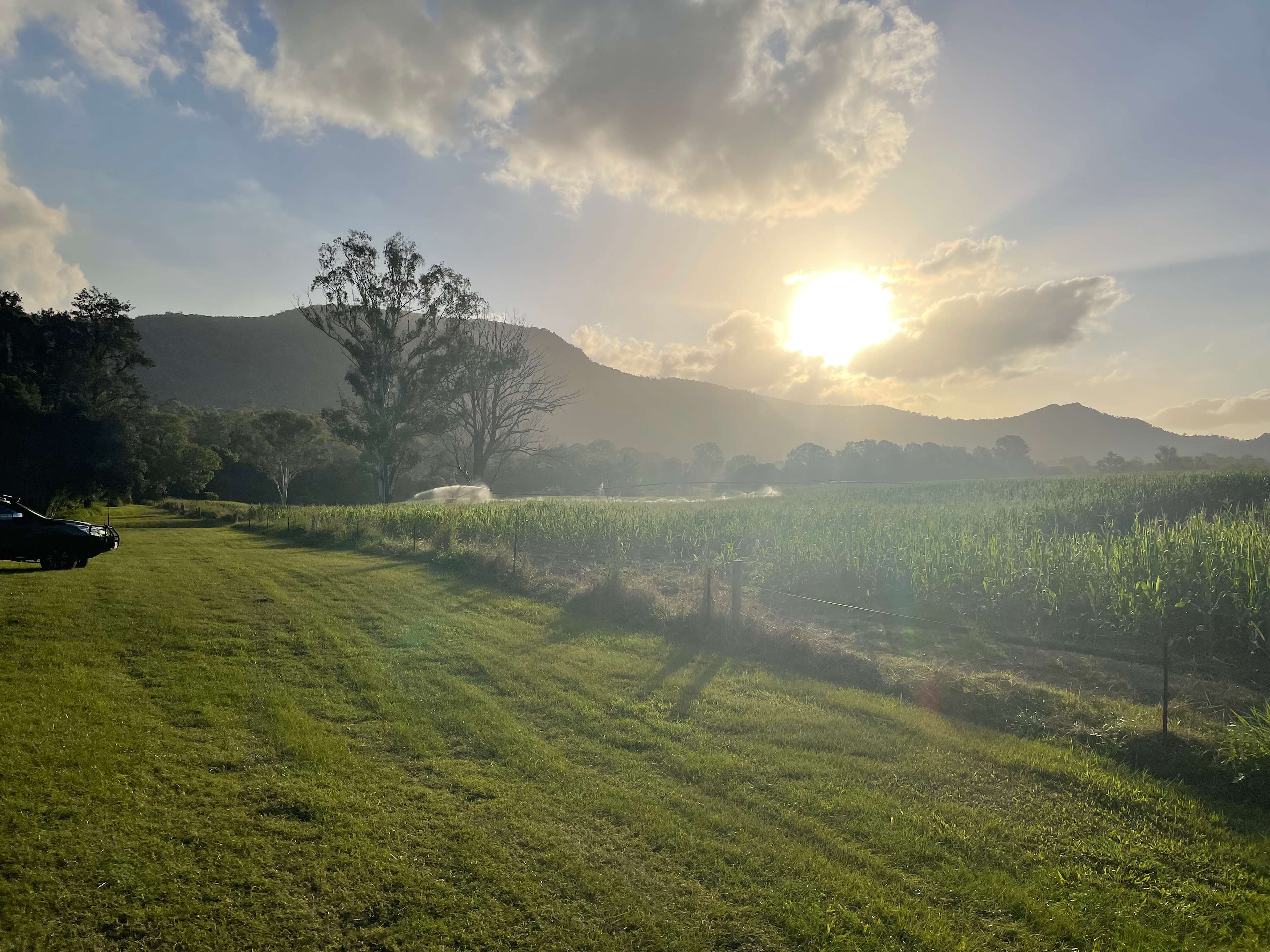 Kenilworth Free Range Farm
