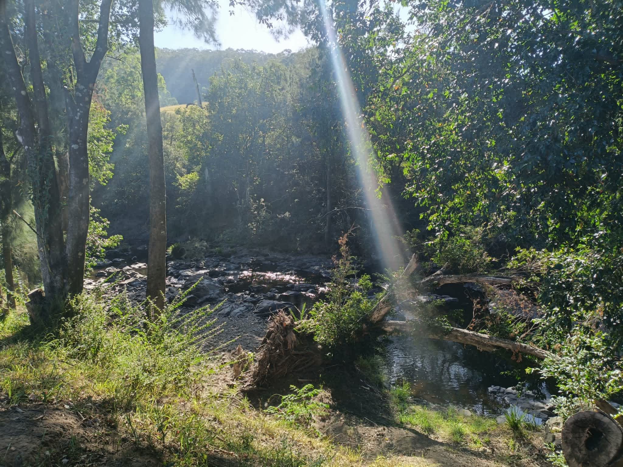 Willowbank