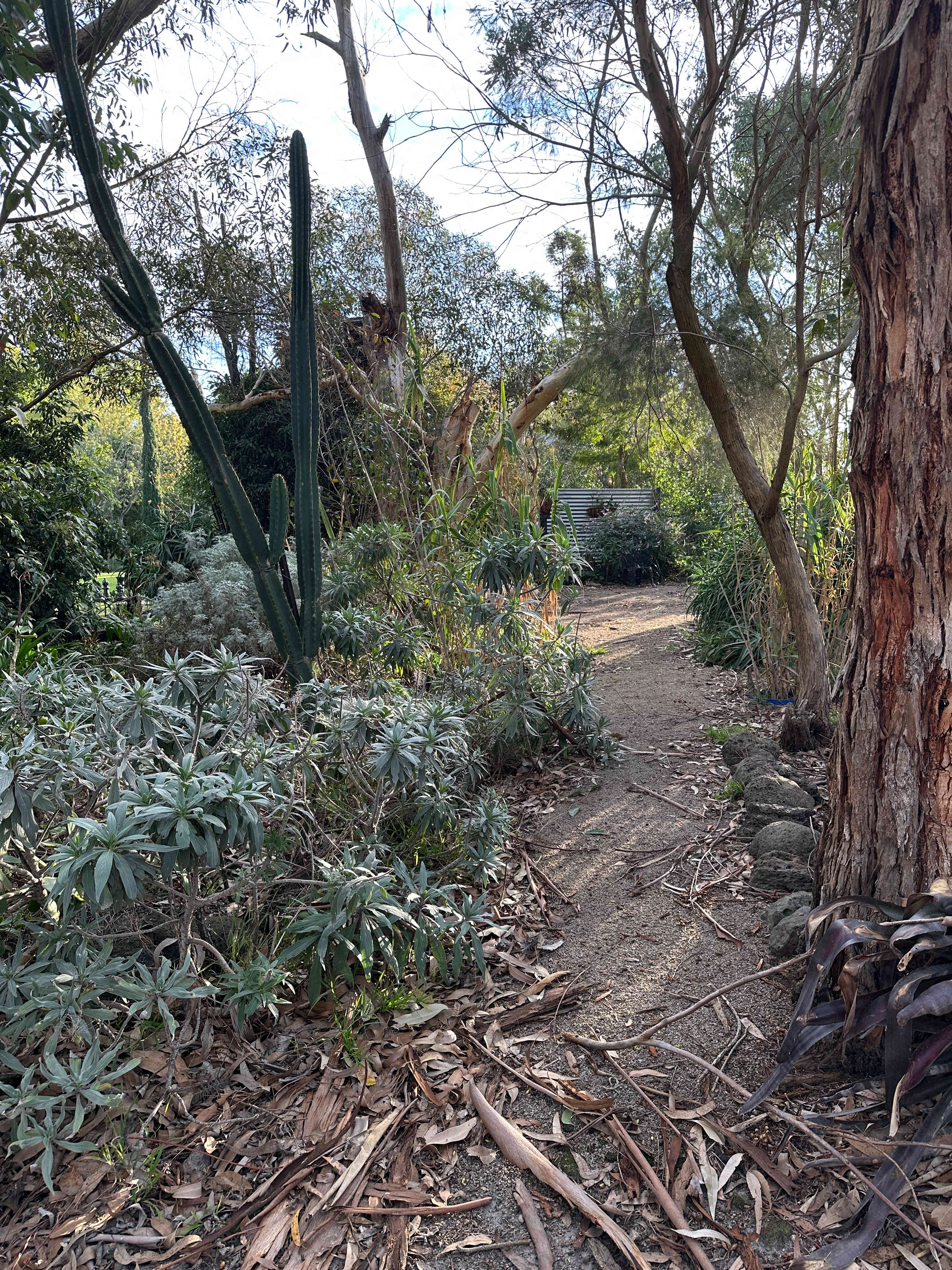 Polly's Paddock