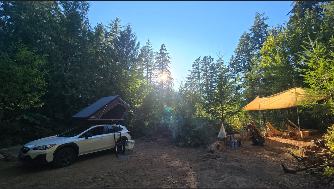 Picture of the site