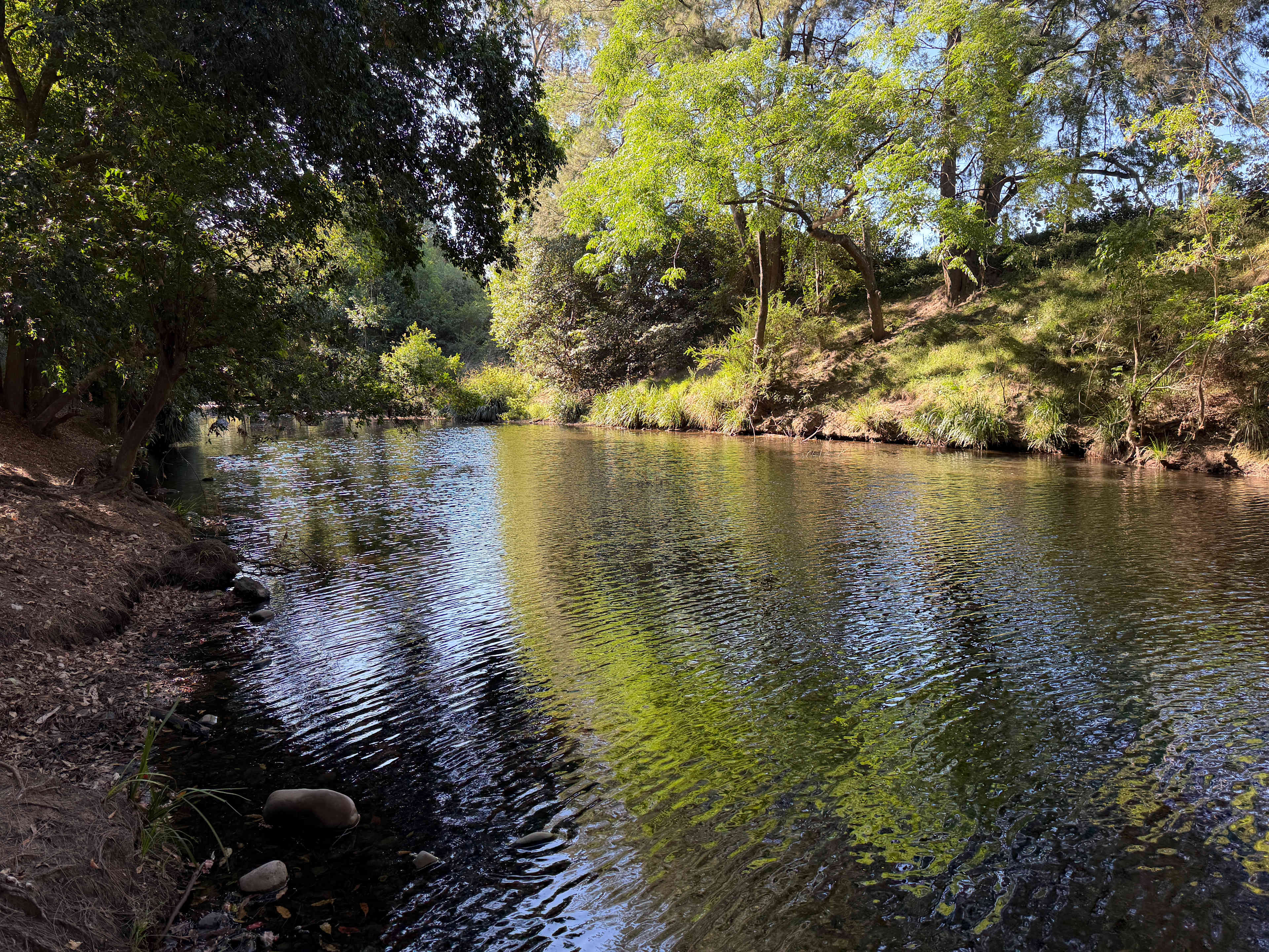 Willowbank