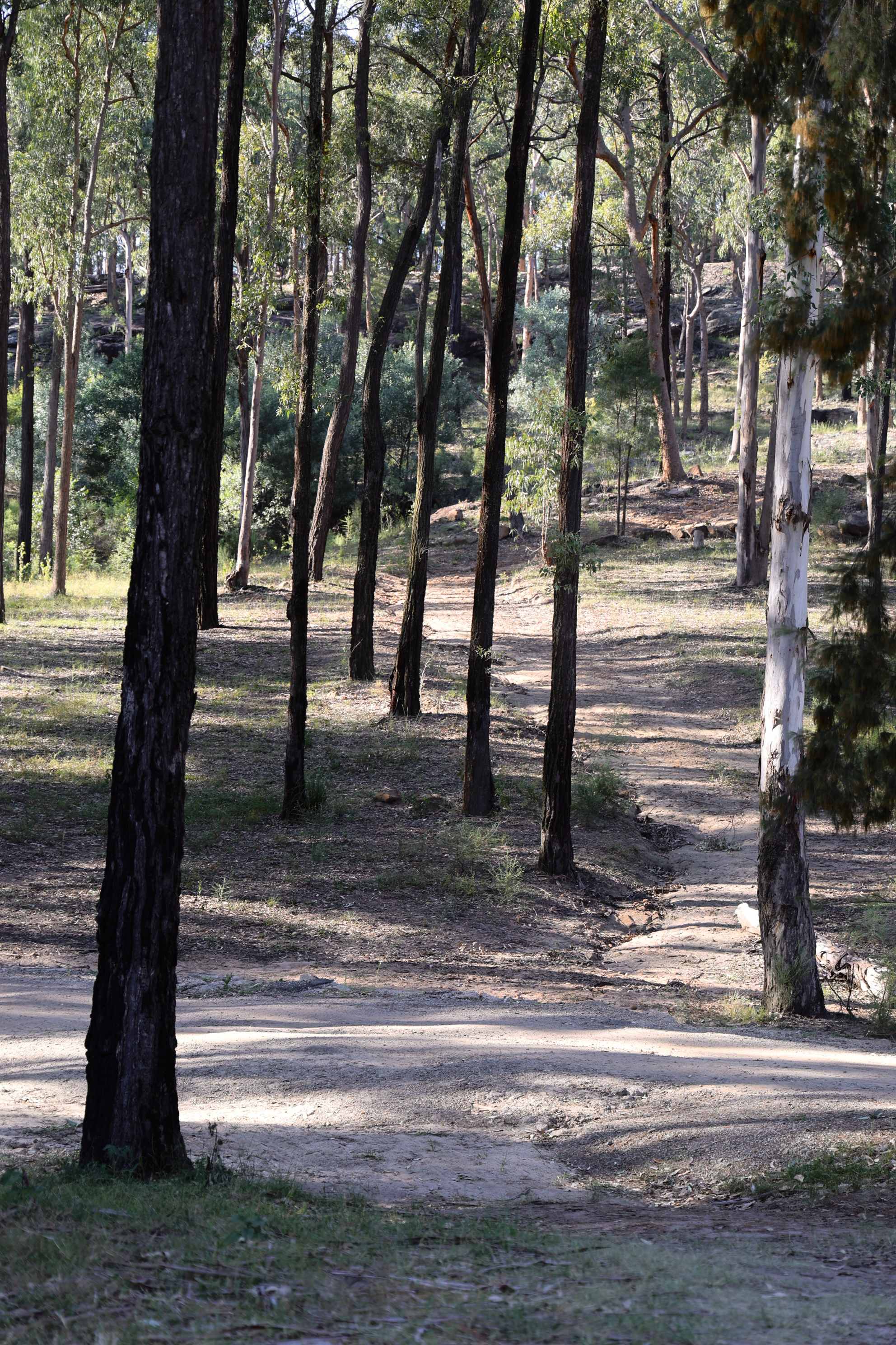 Jila Camp Grounds
