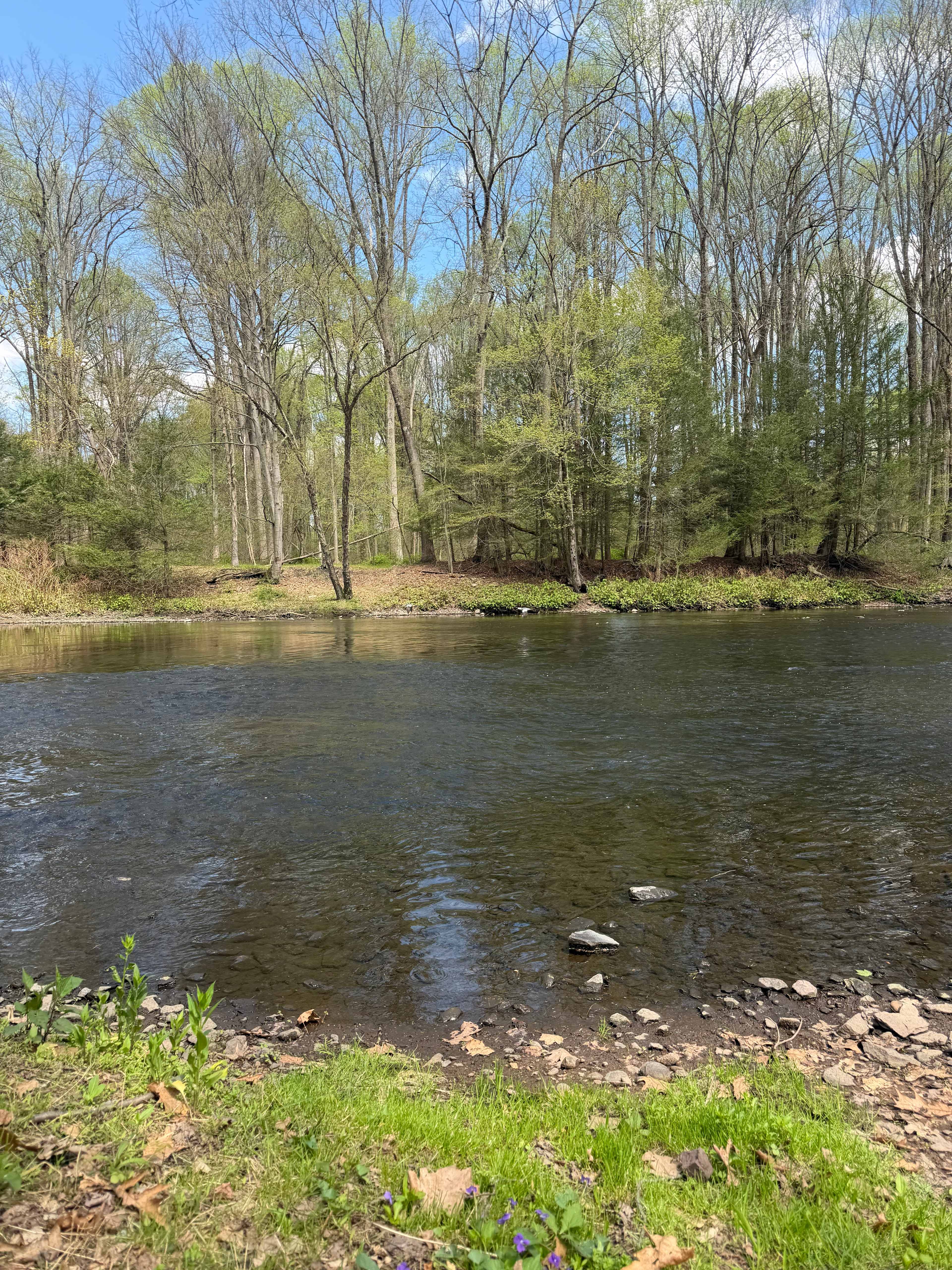 Peace & Quiet by the River!