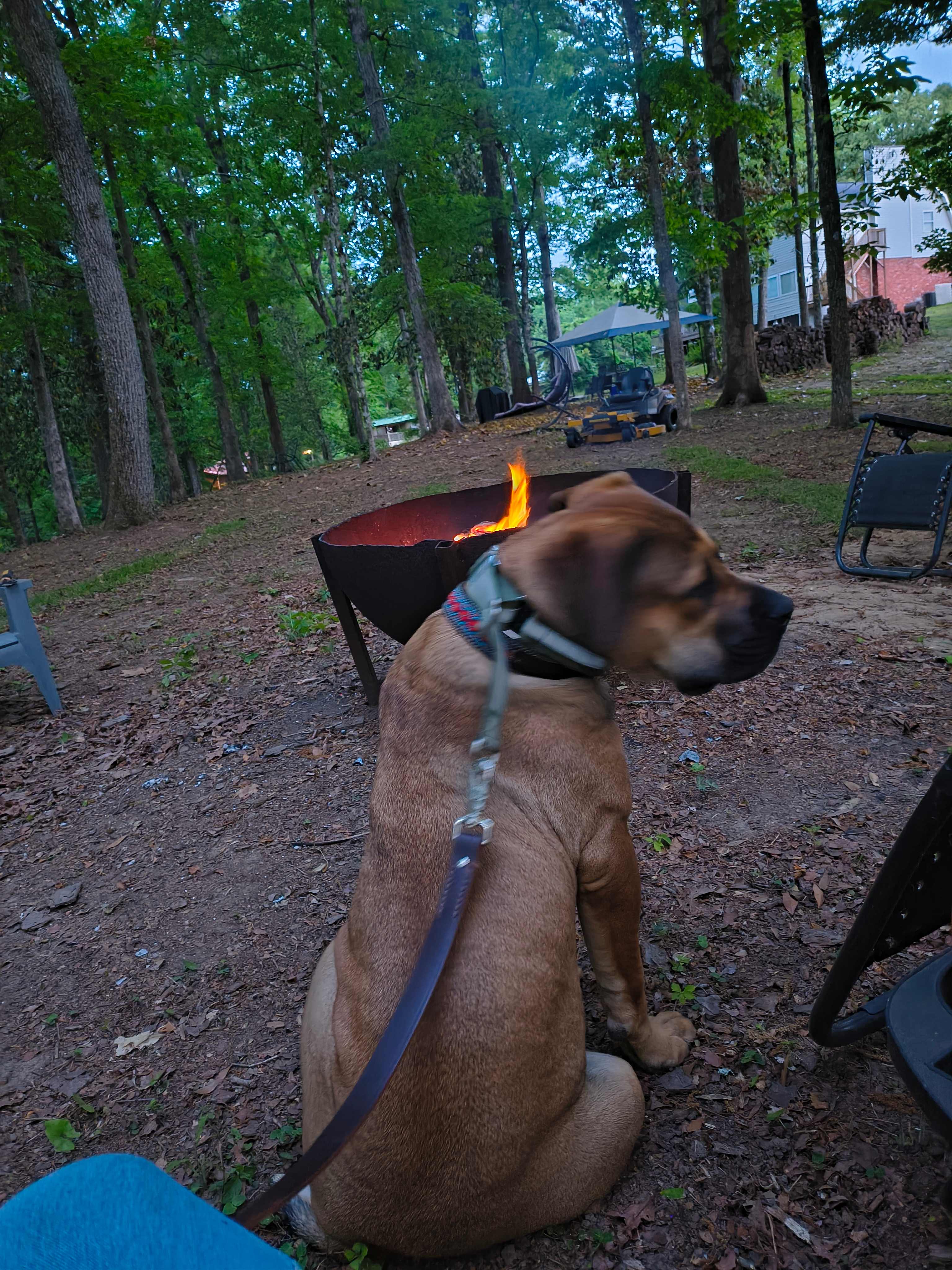 GrandView Glamping, Eufaula, AL