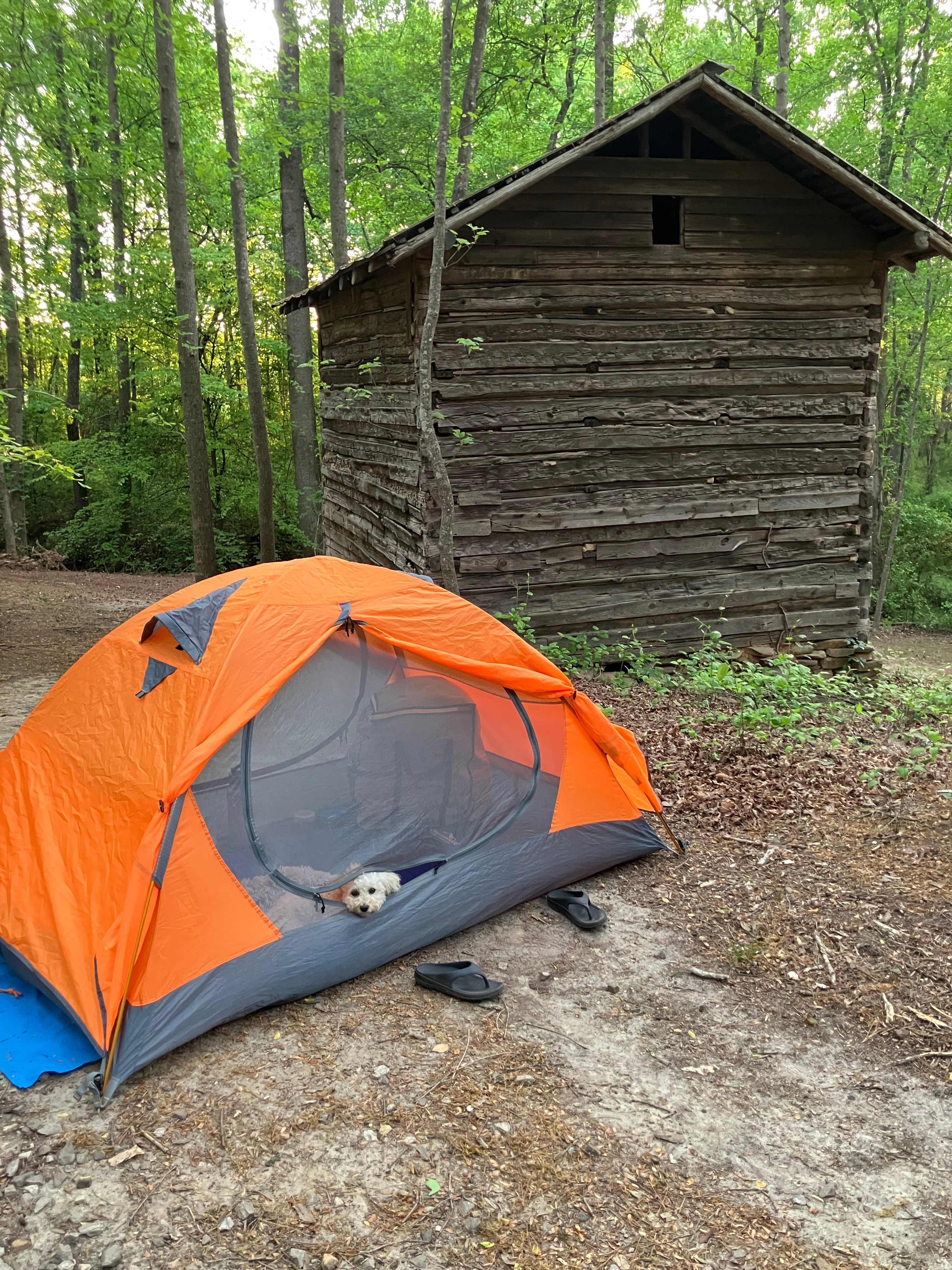 Eden Oaks Vineyard & Campground