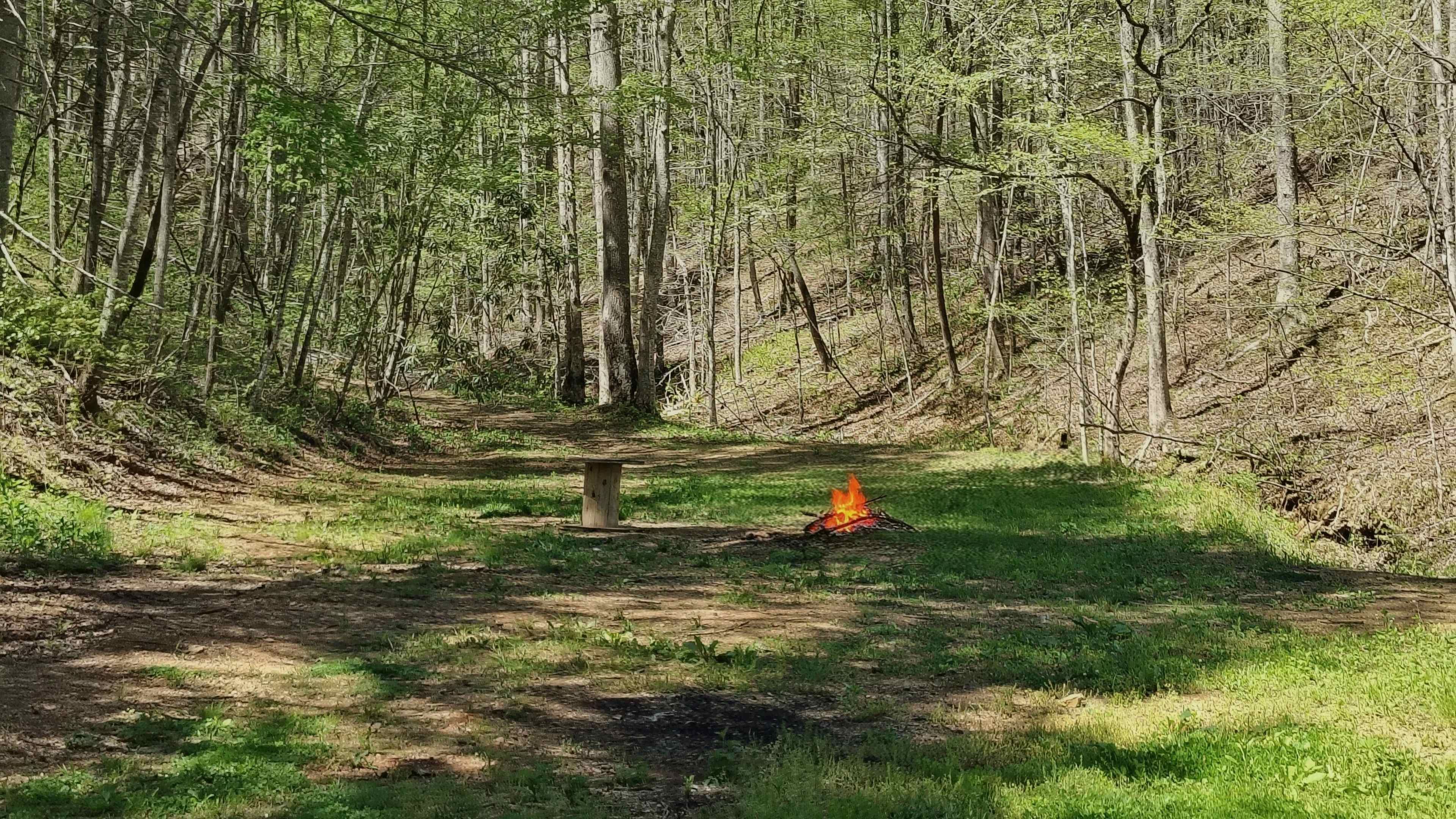 Honeysuckle Springs Smoky Mountains