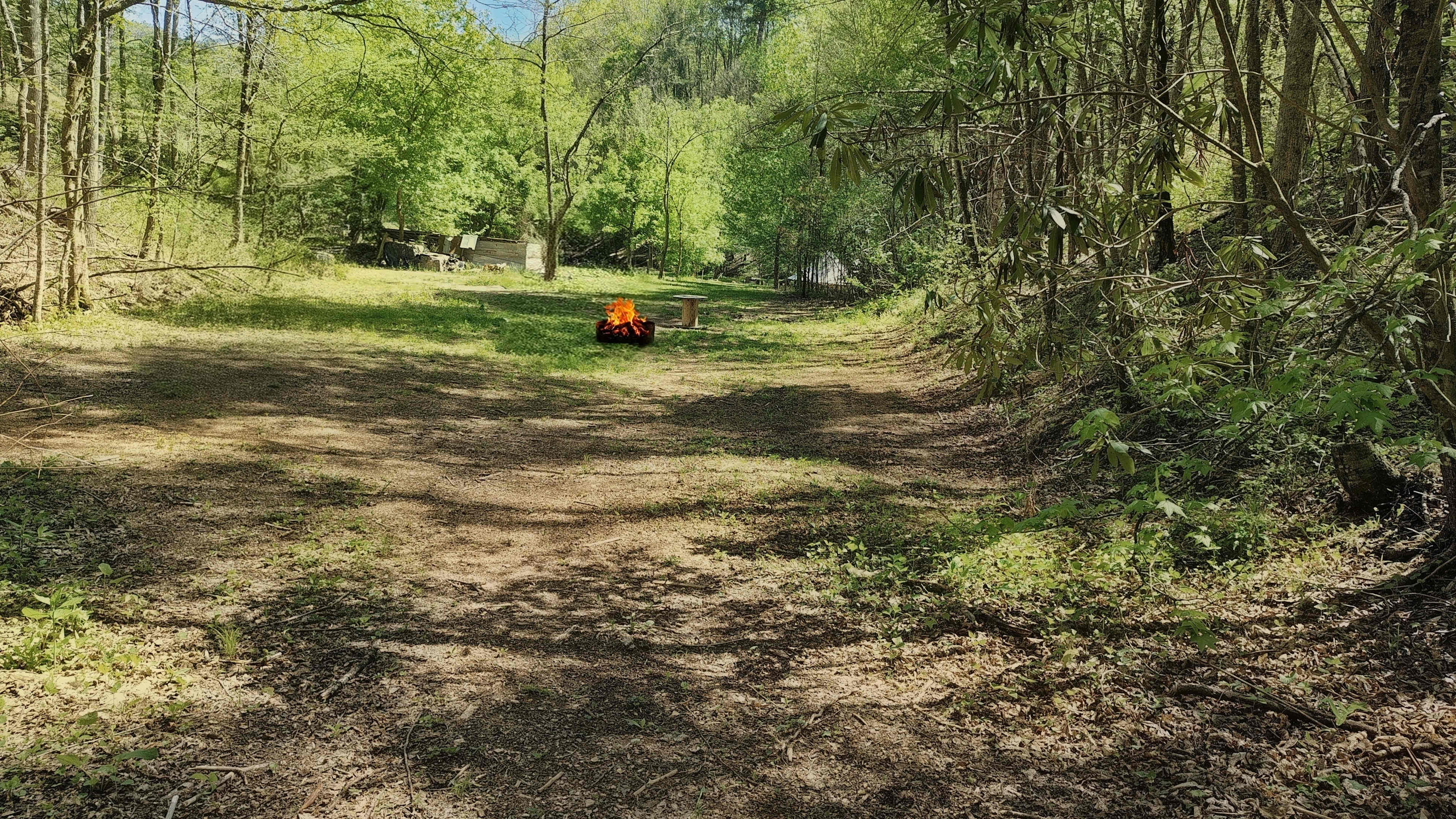 Picture of the site