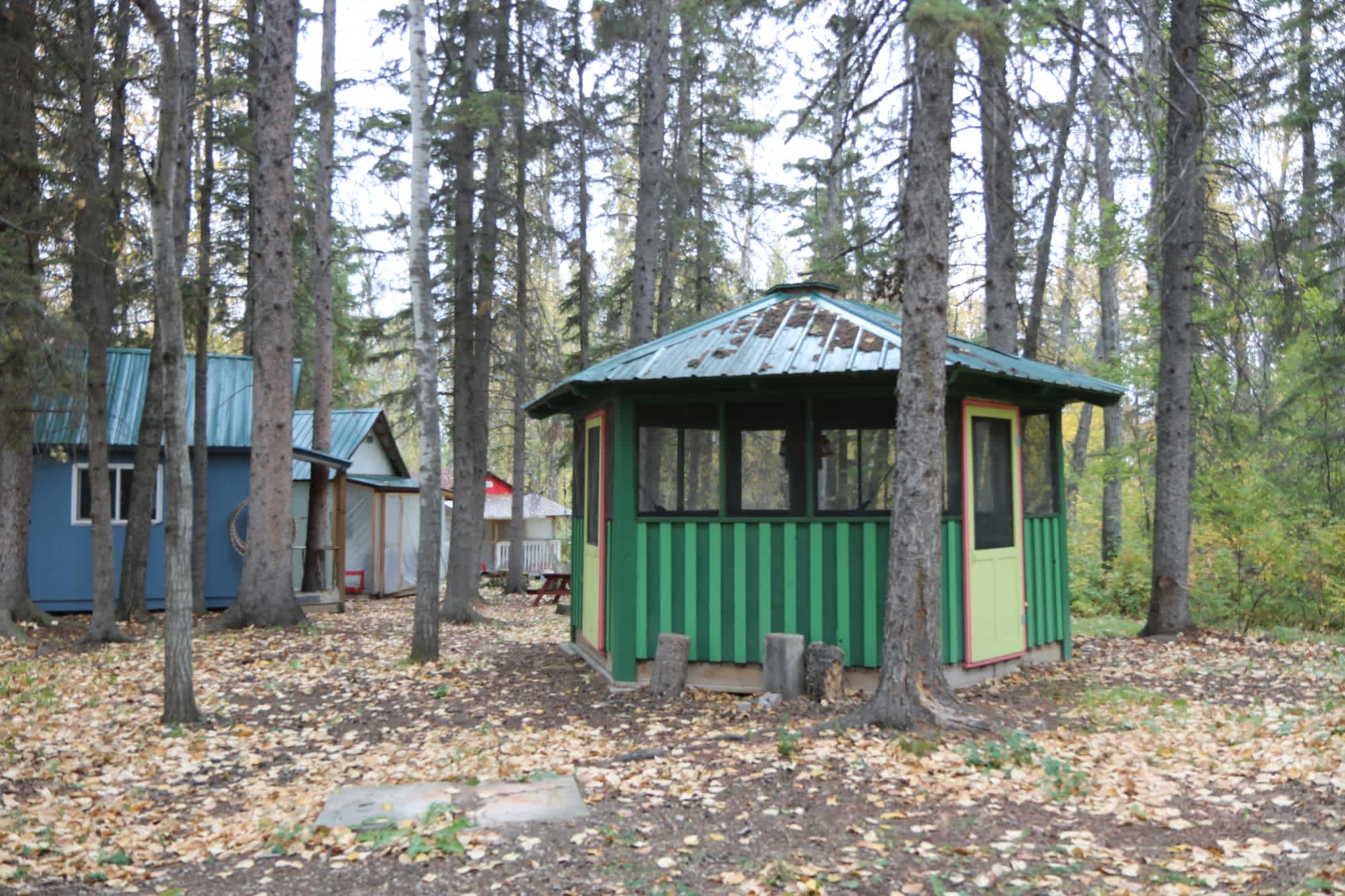 Picture of the site