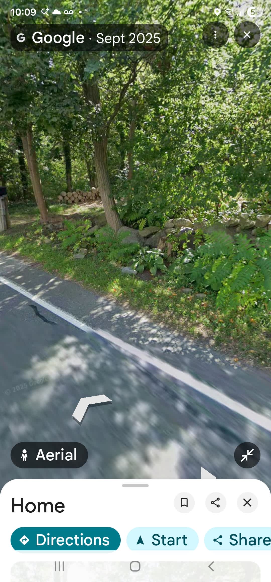 Picture of the site