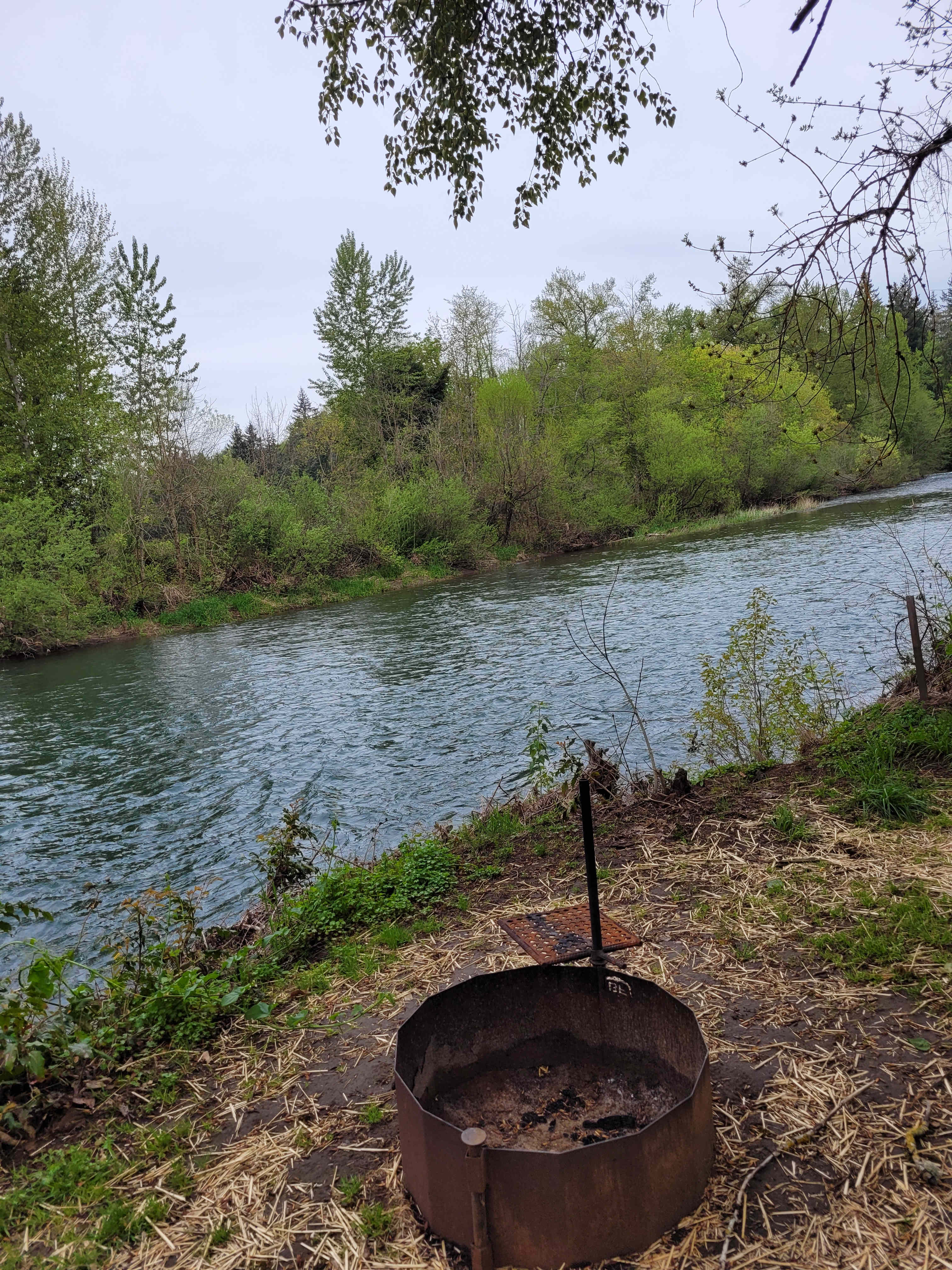 Molalla Ripple