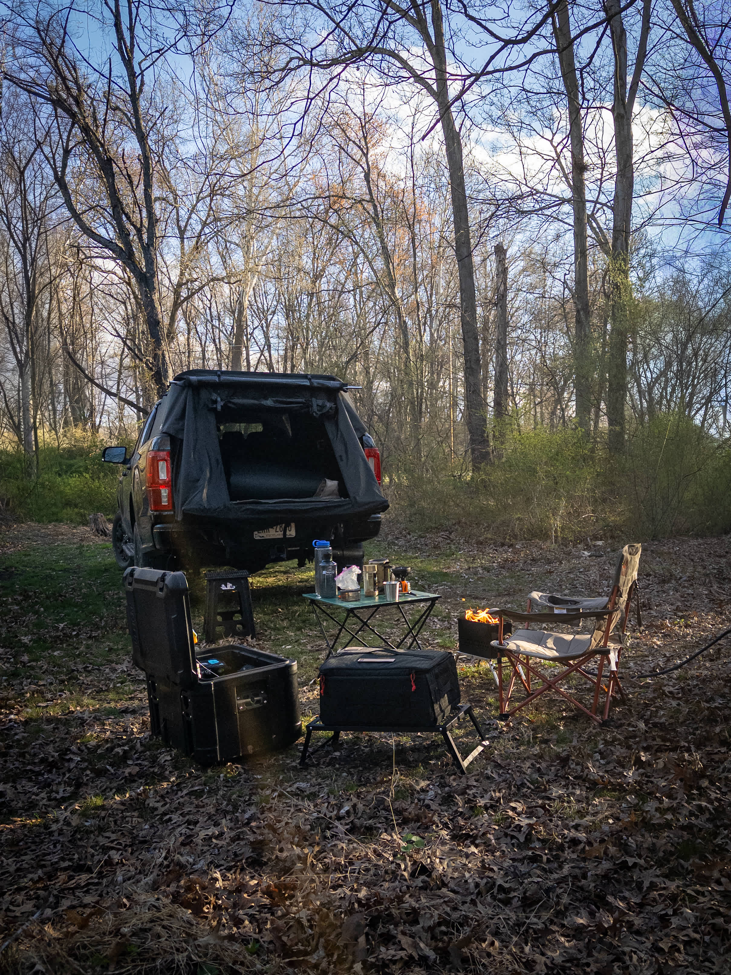 Wooded area with campsites