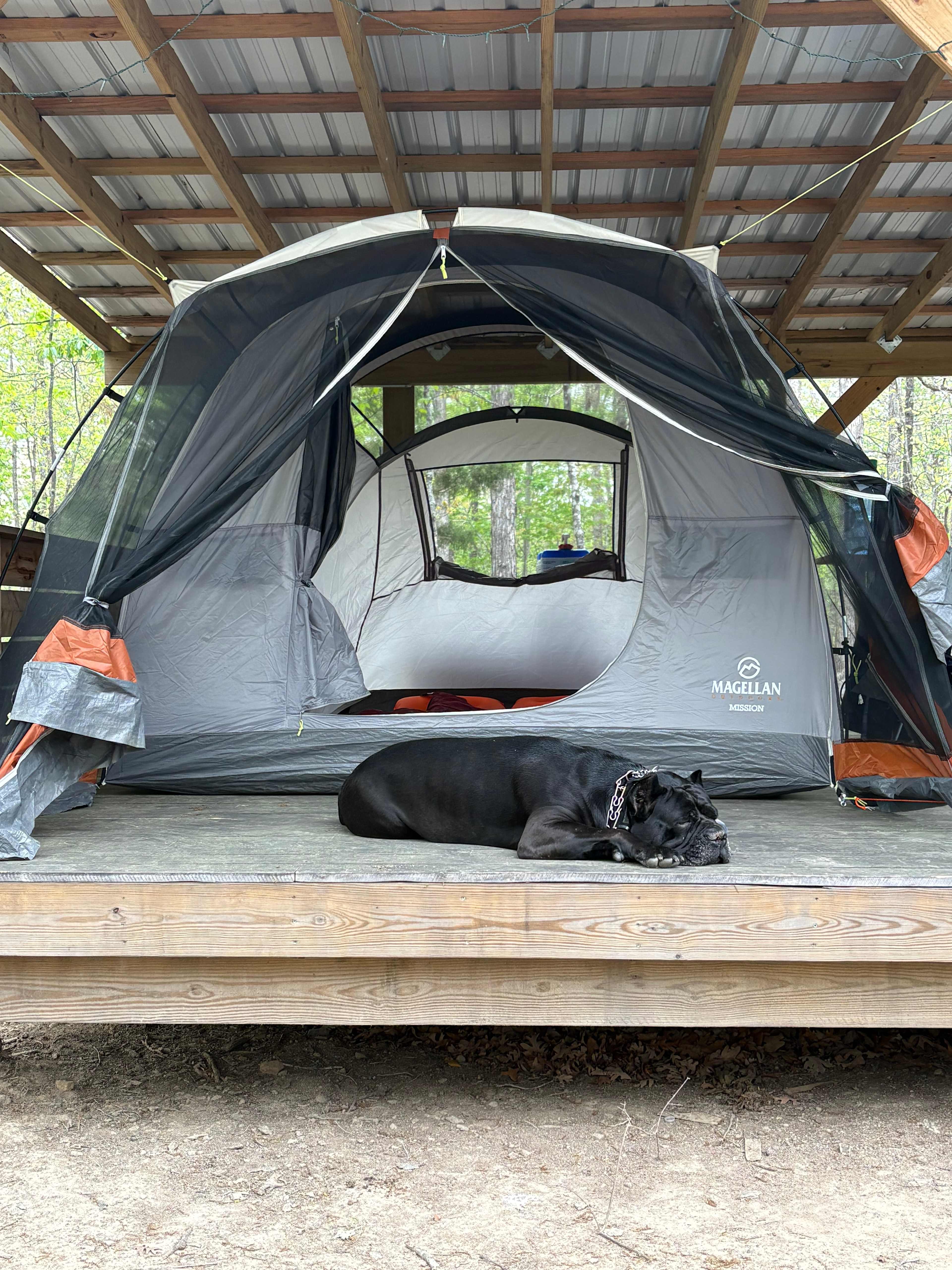 Secluded Camp near Buffalo River