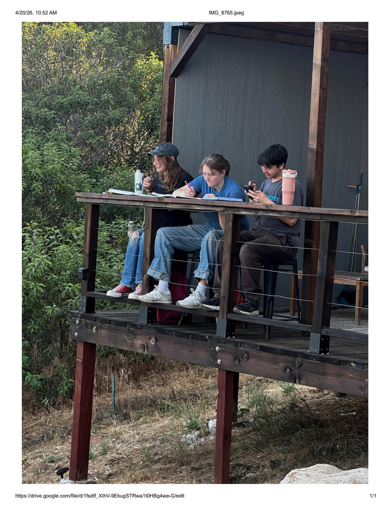 Hanging out in the lean to
