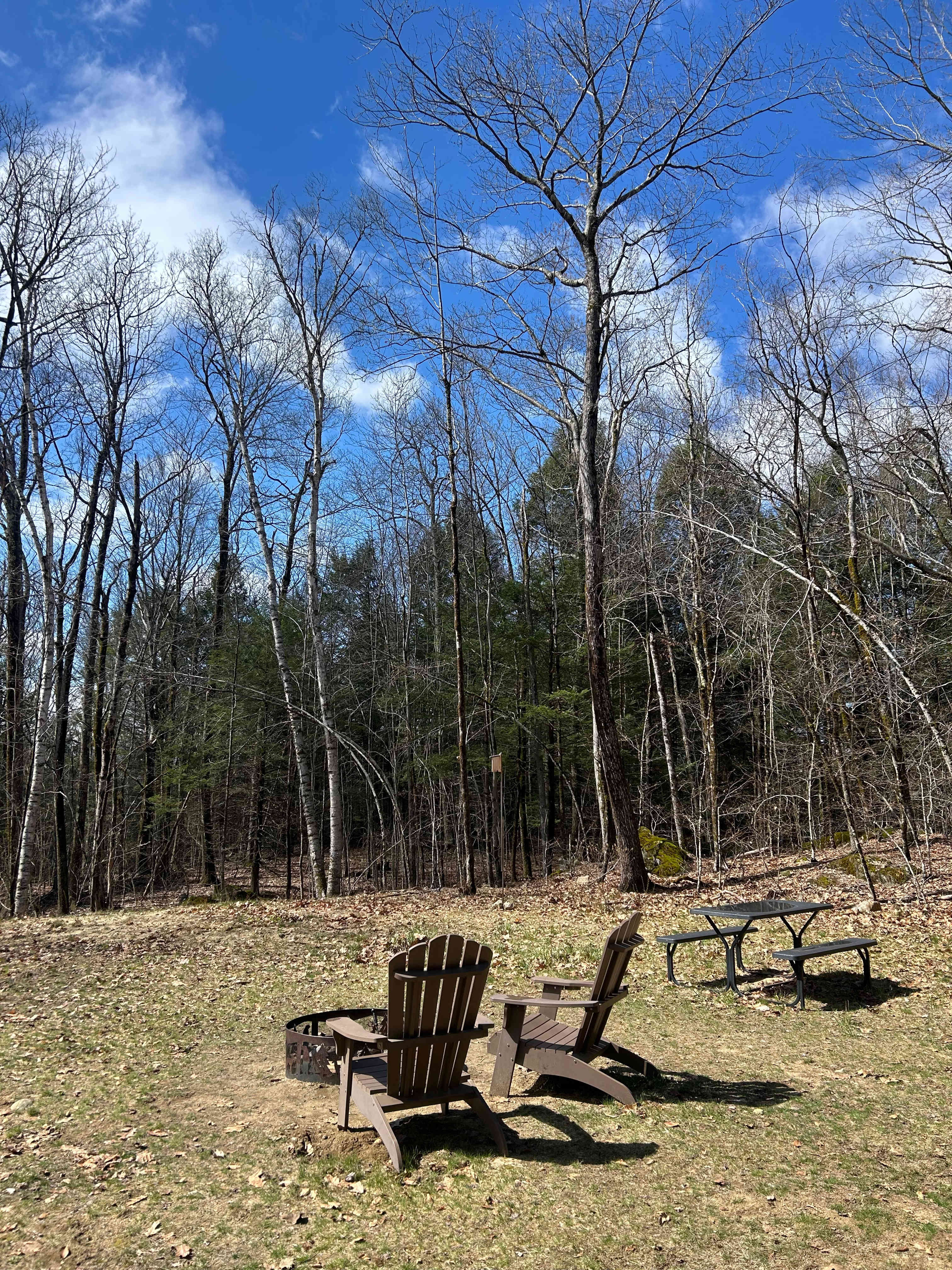 Beautiful view from the backyard 