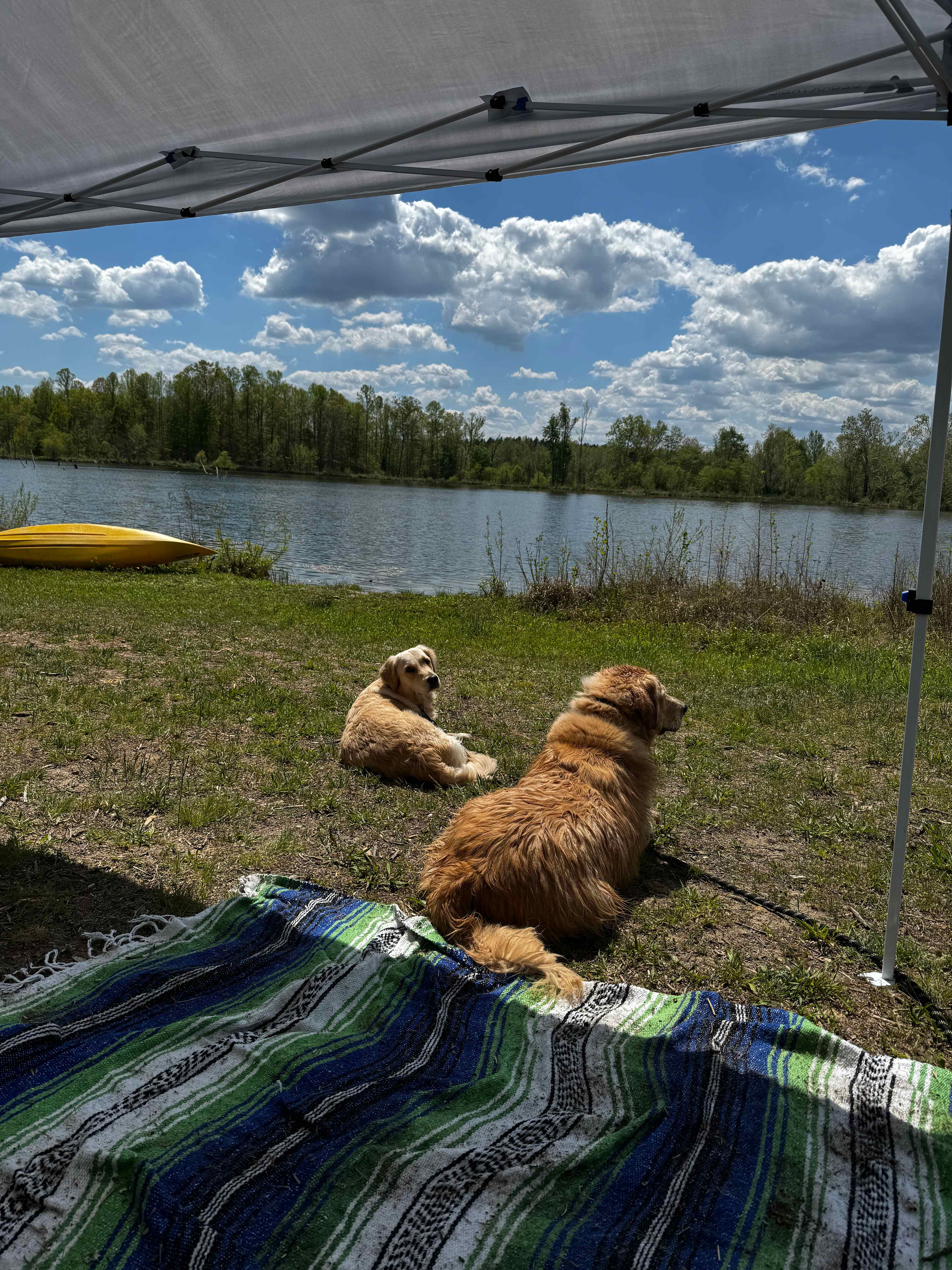 Lakefront!! Kayaks Available.