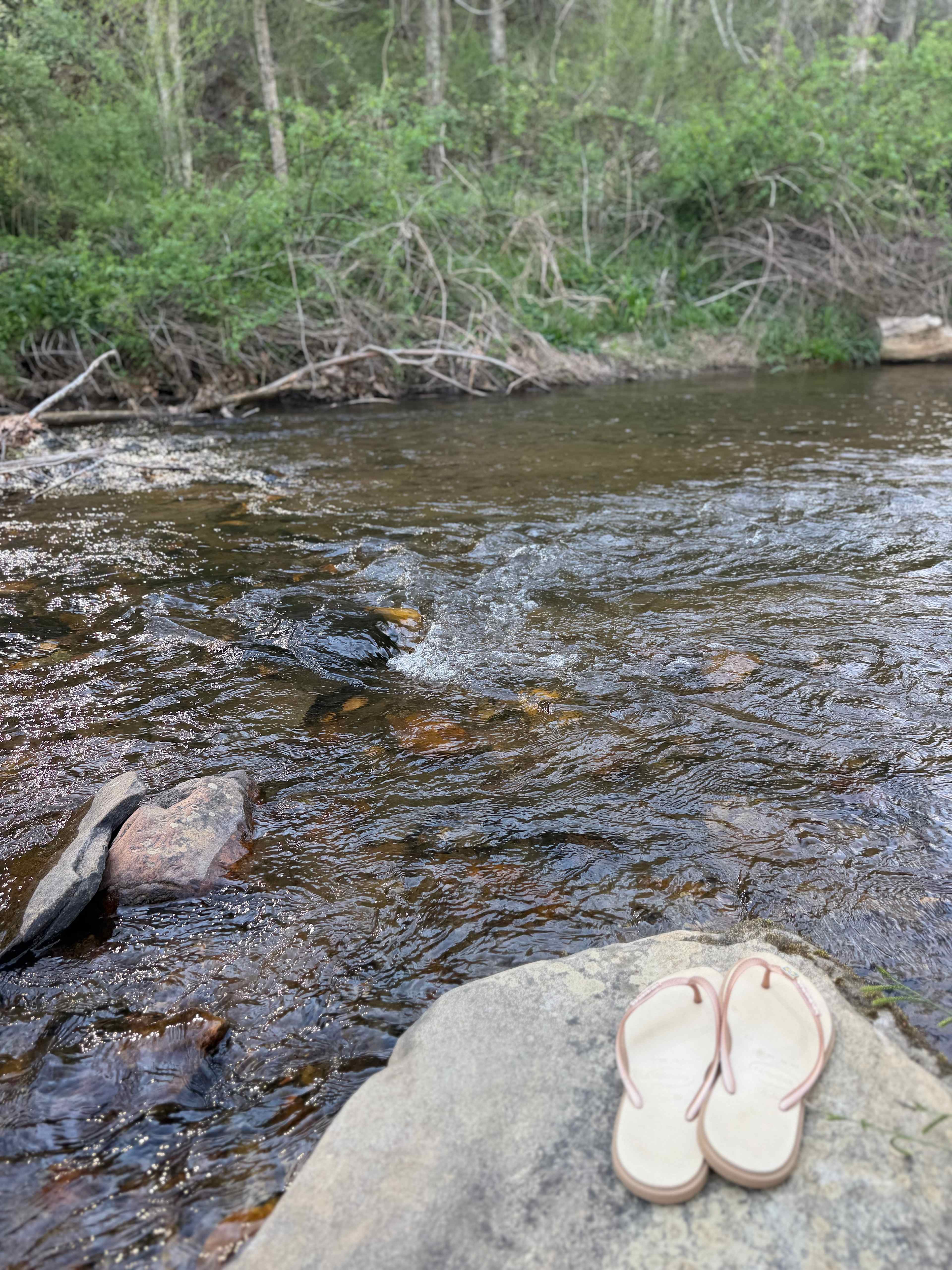 Creekside campsites