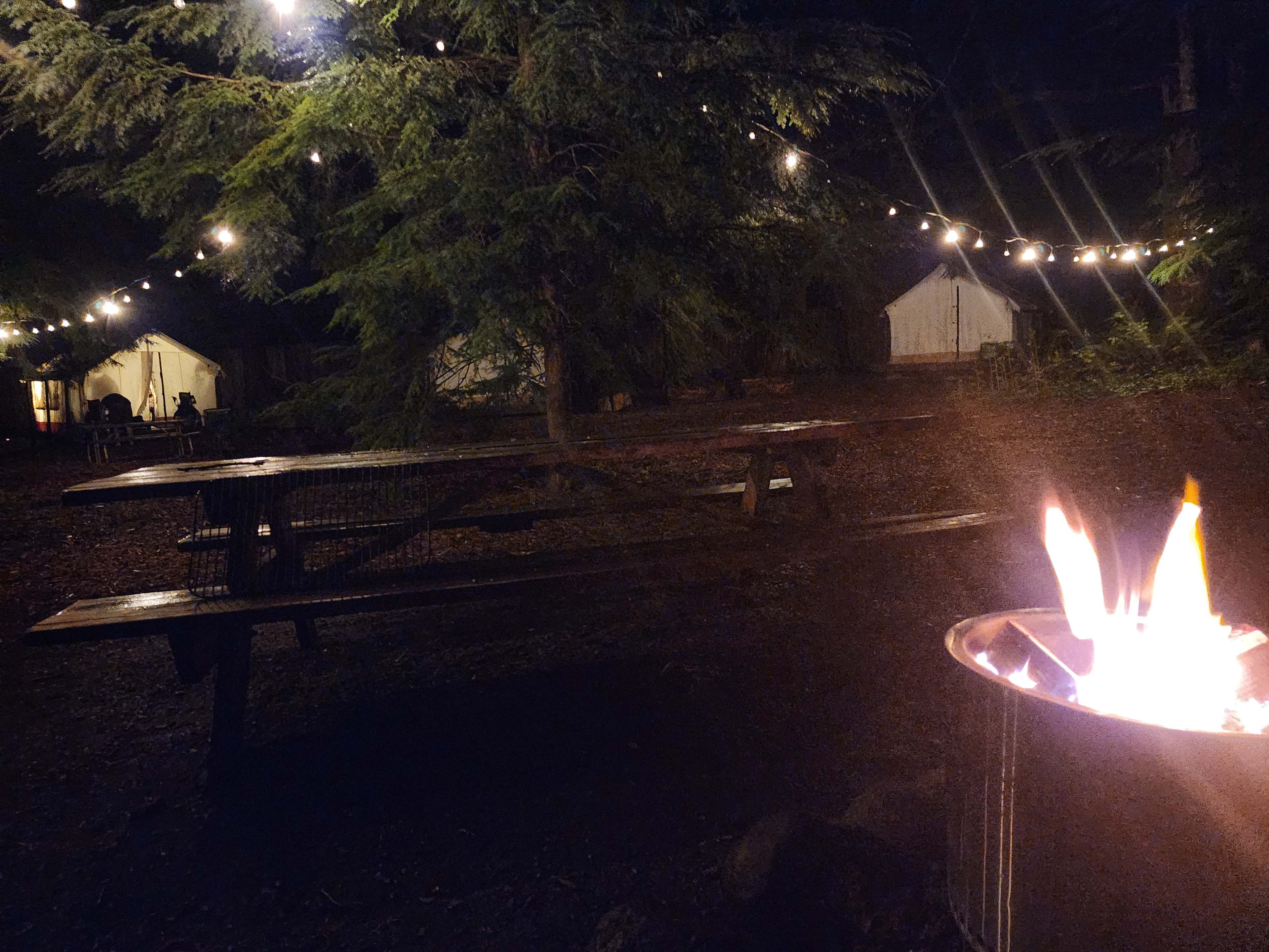 Fire in the Solo stove with a view of a few of the heated tents