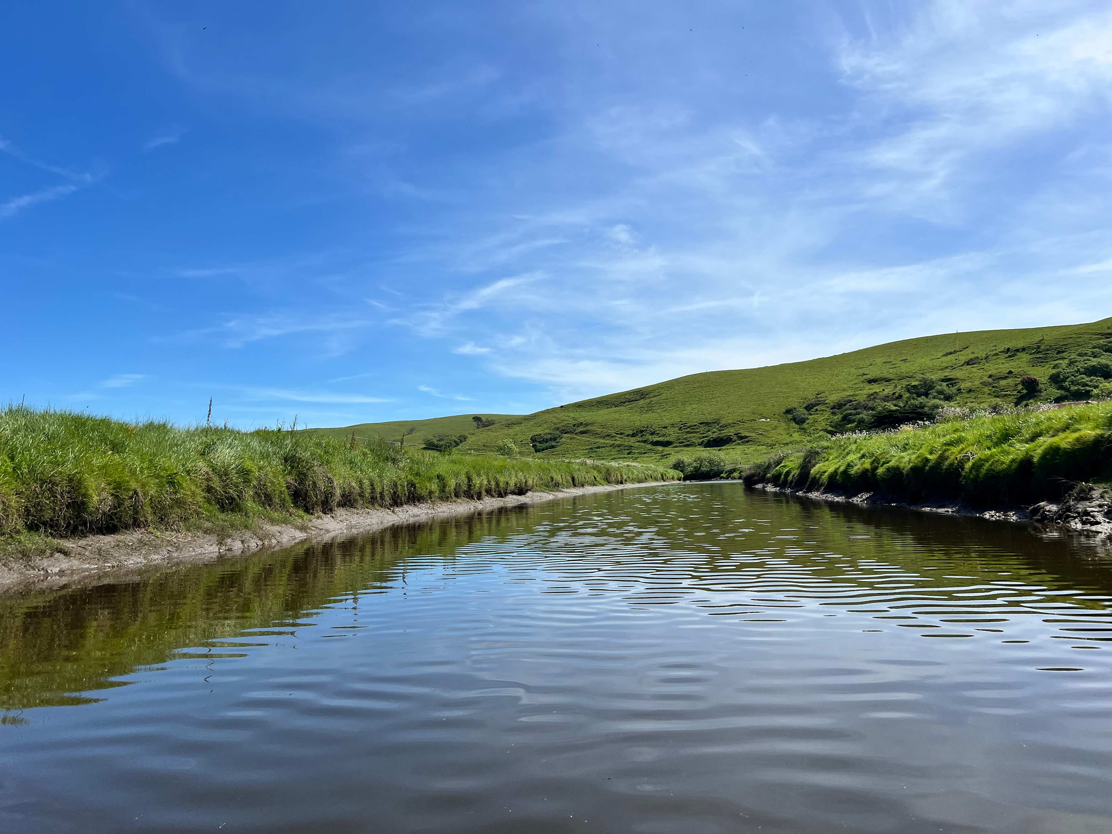 Estero San Antonio Wonderland