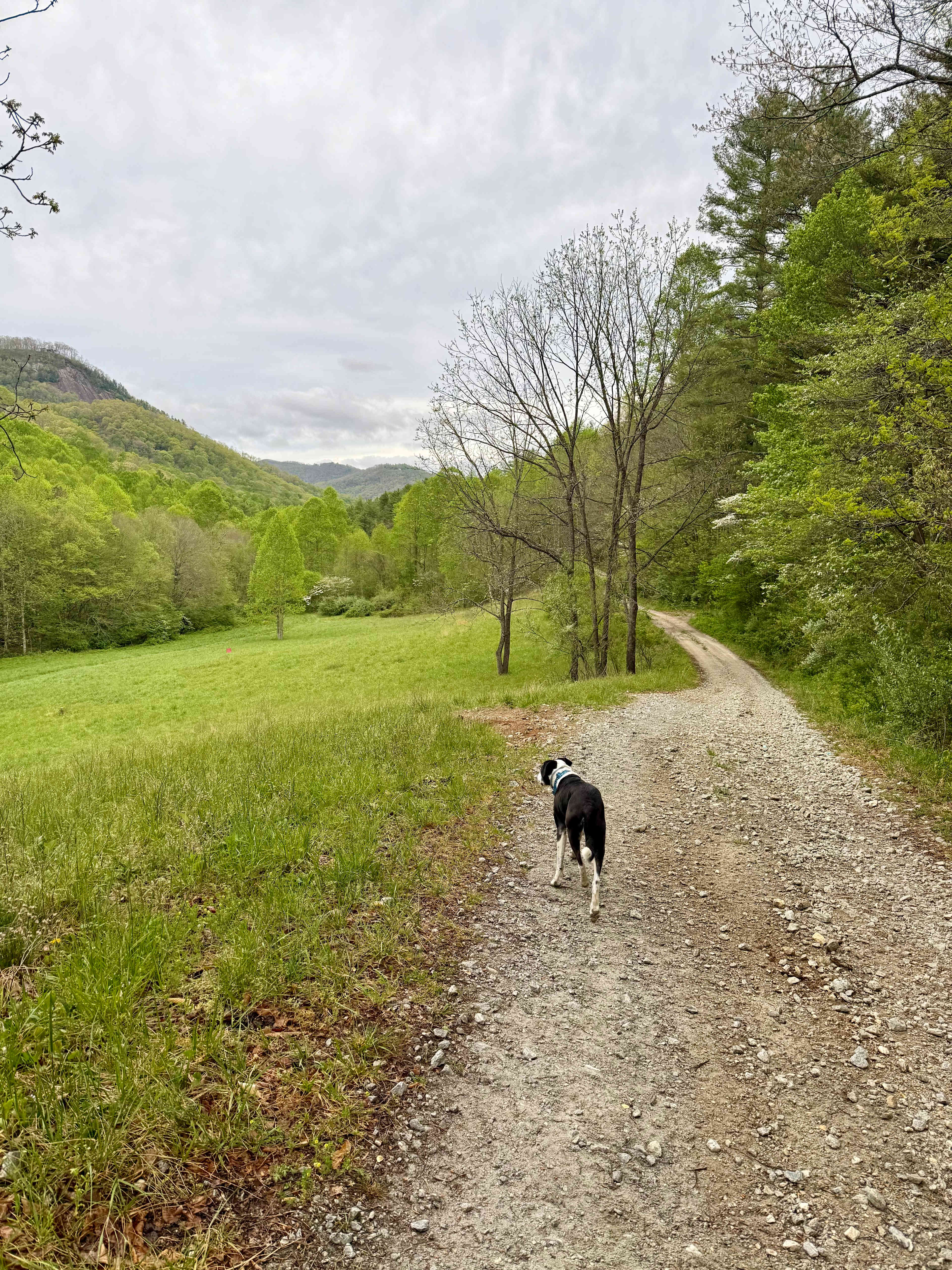 Trout Creek Campgrounds