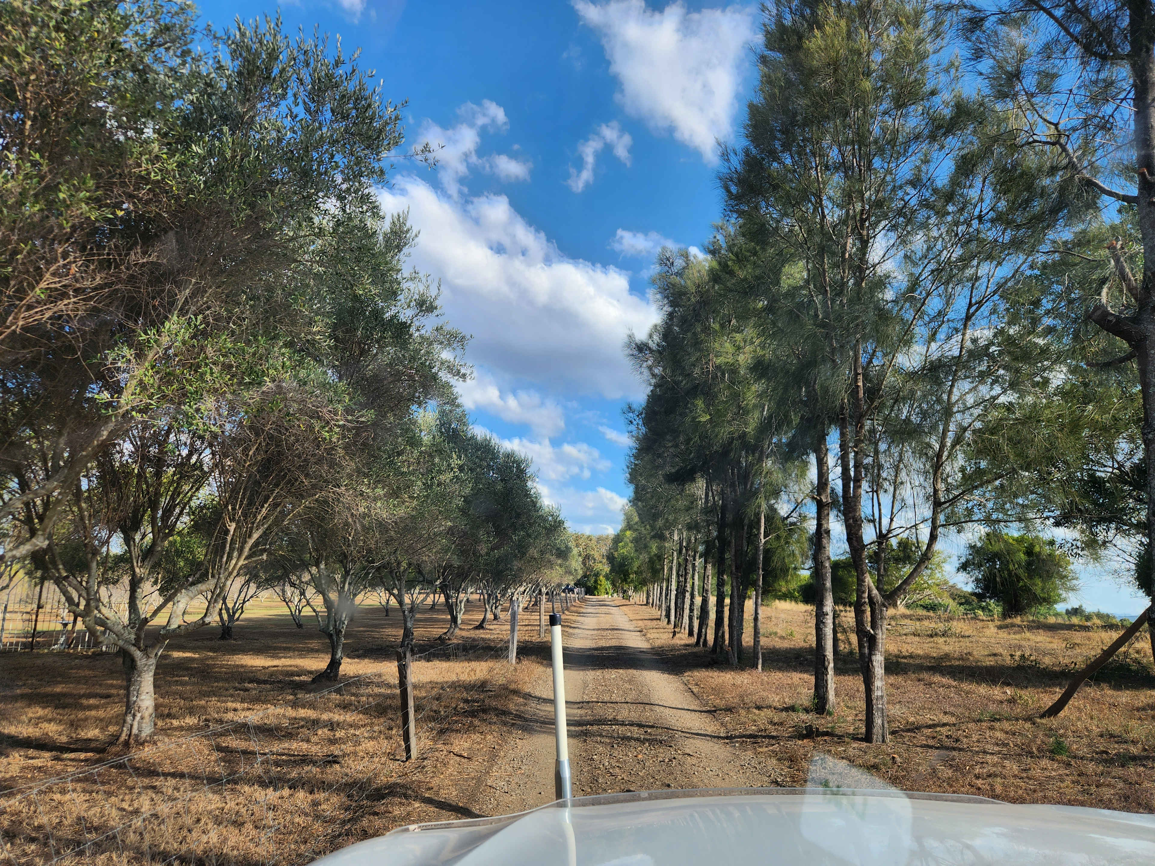 Olive View Estate - Stunning Views!