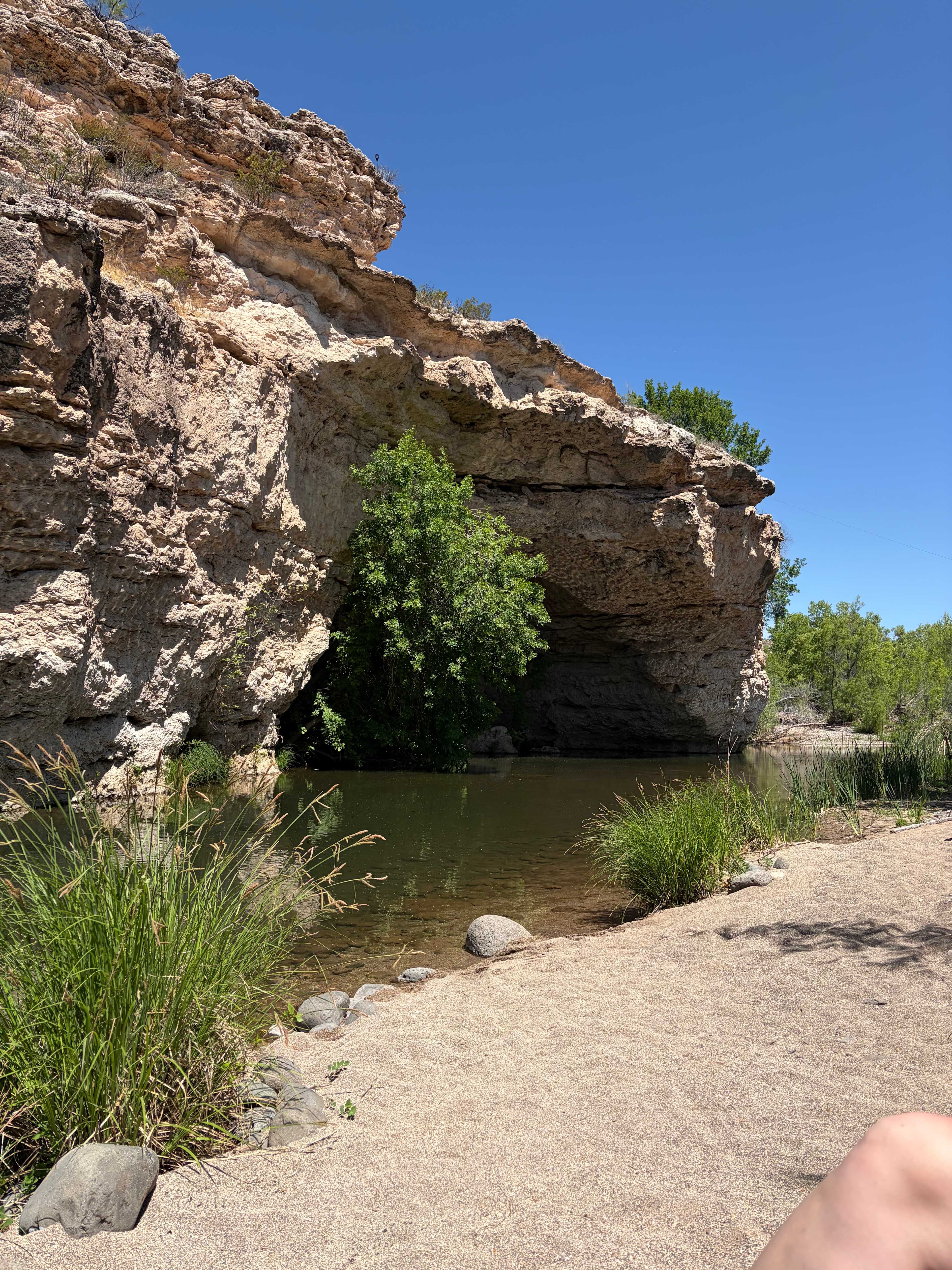 Creek Cliff Cave!