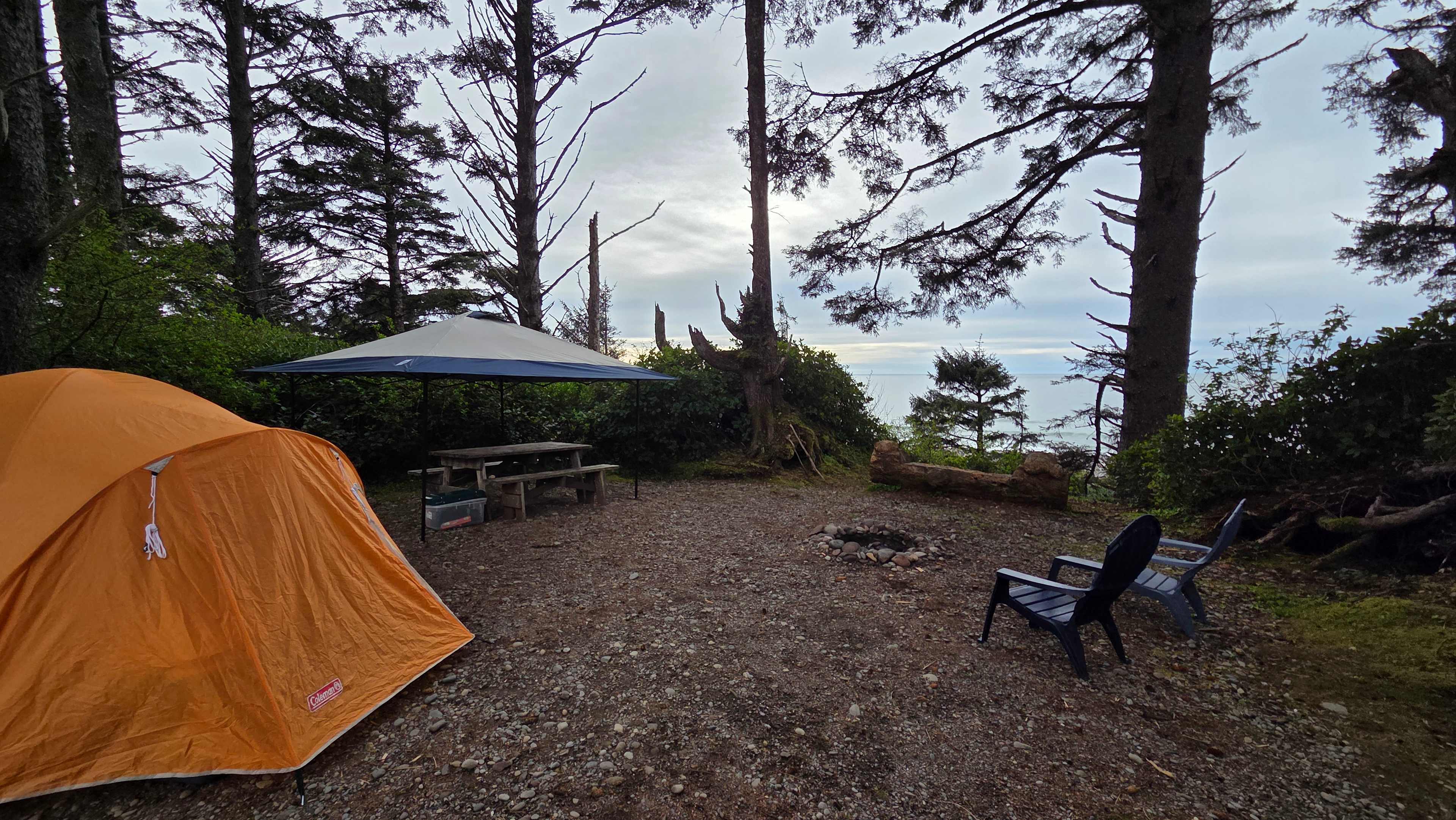 Aliya Preserve—WA Coast Eco-Retreat