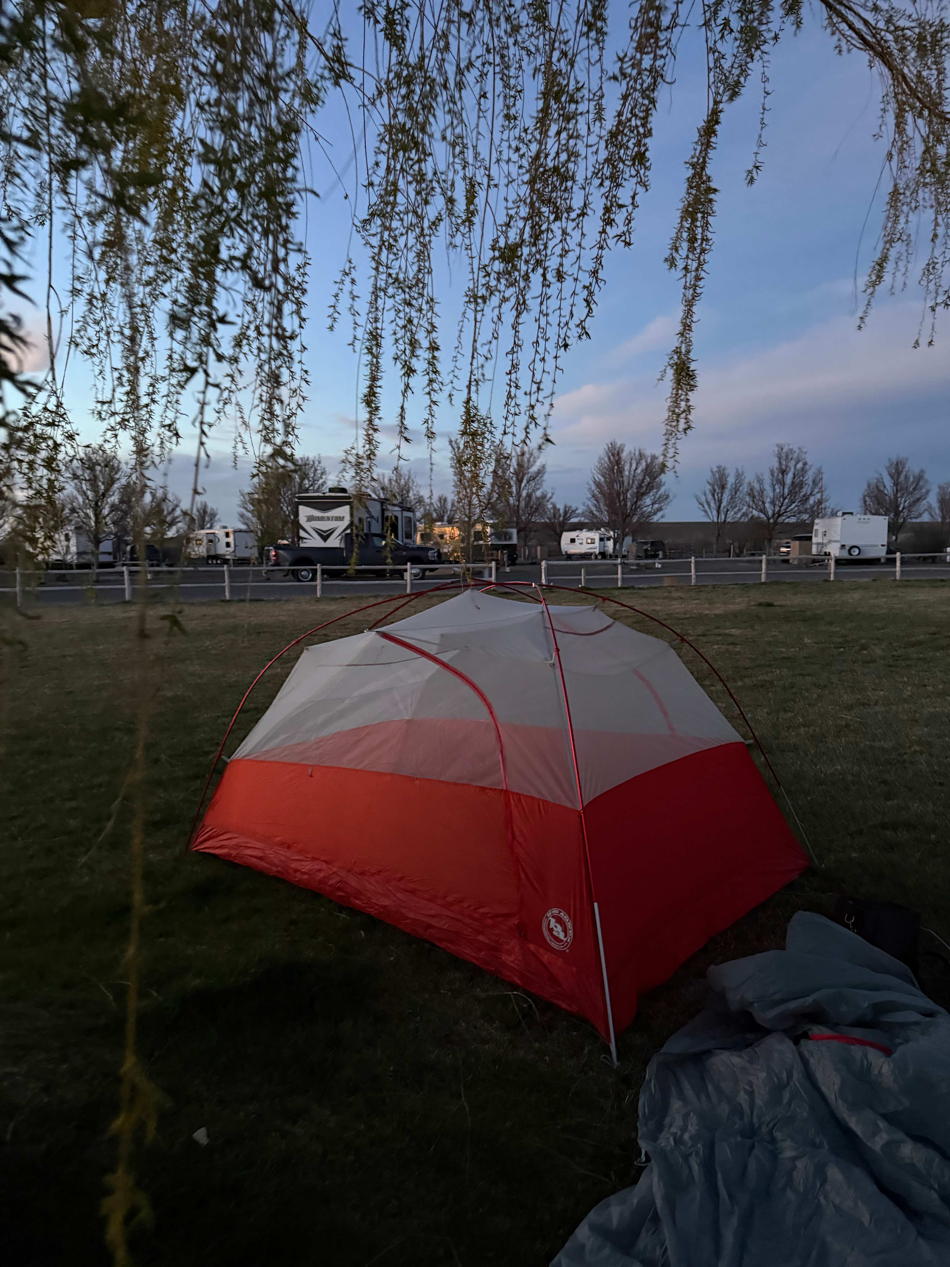 Tent was in a green area separate from the RVs 