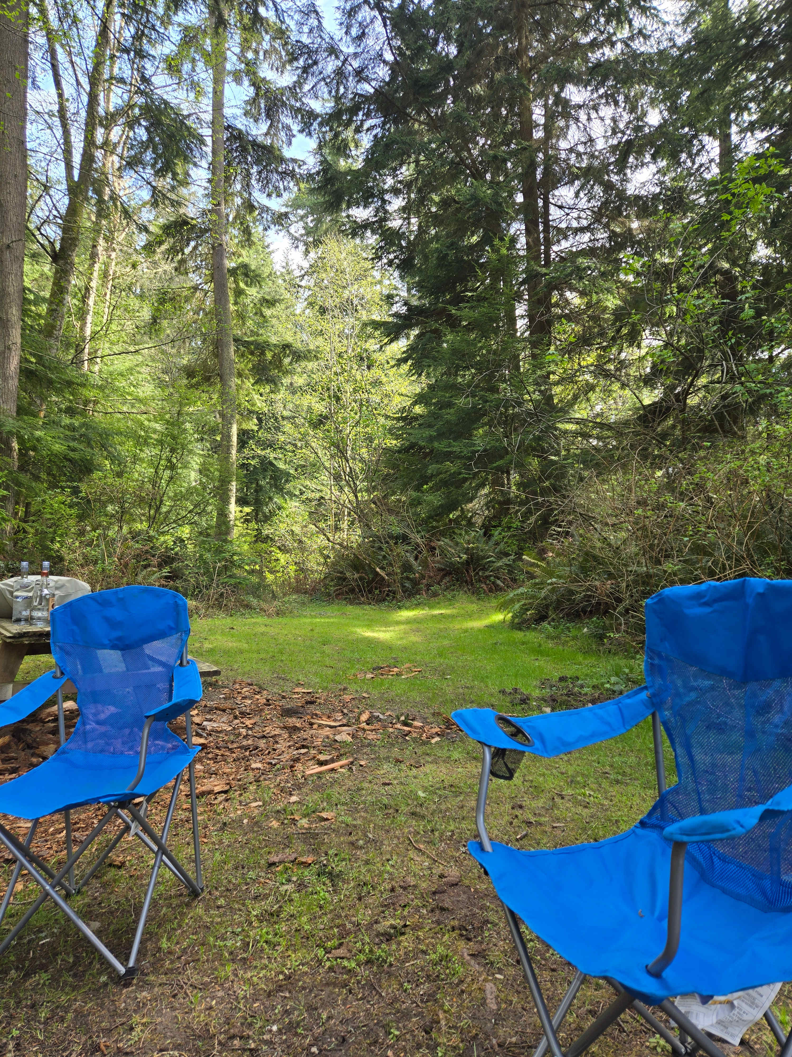 Fern Gully Camp
