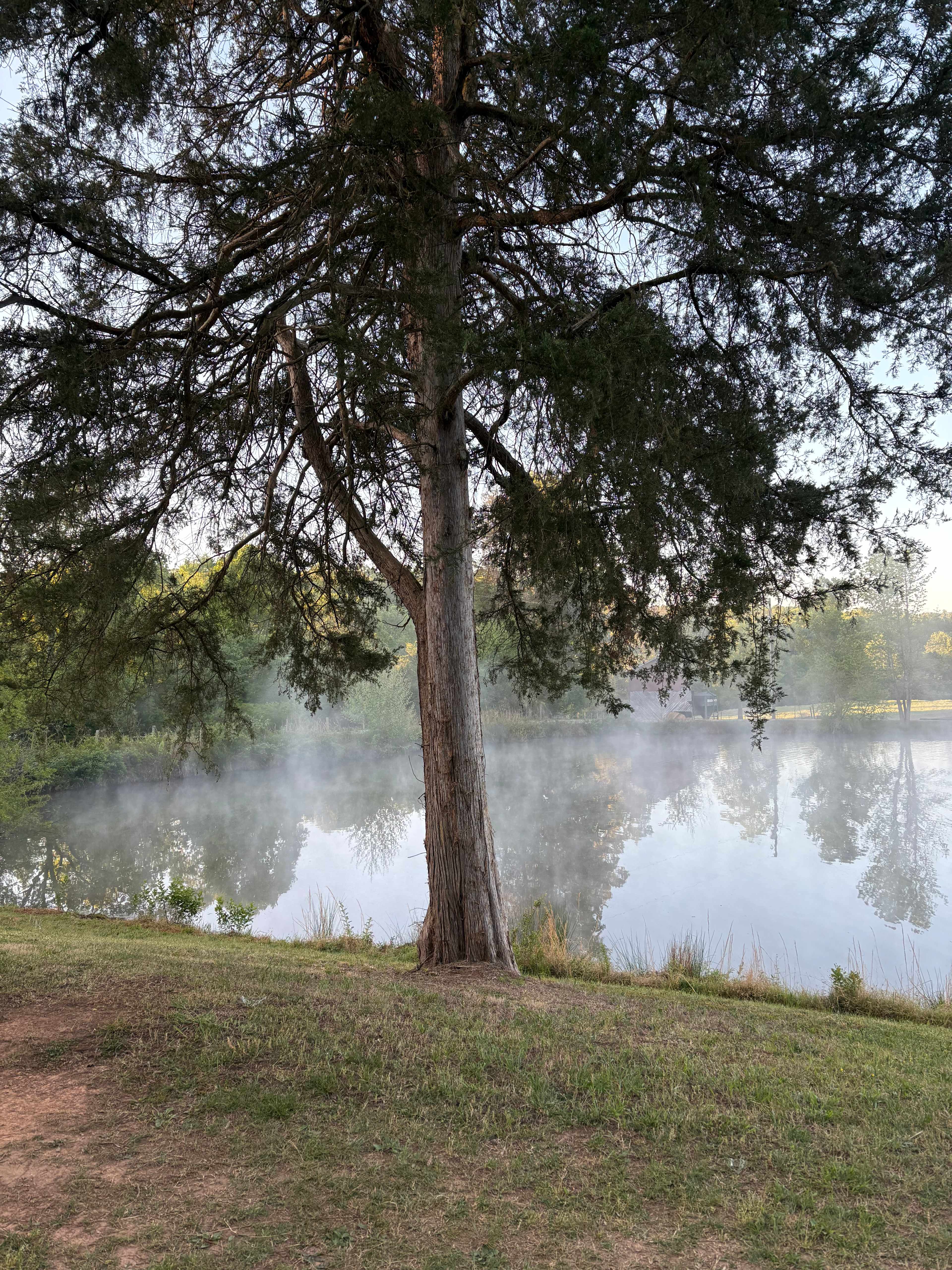 The Oasis at Harmon Creek Farms