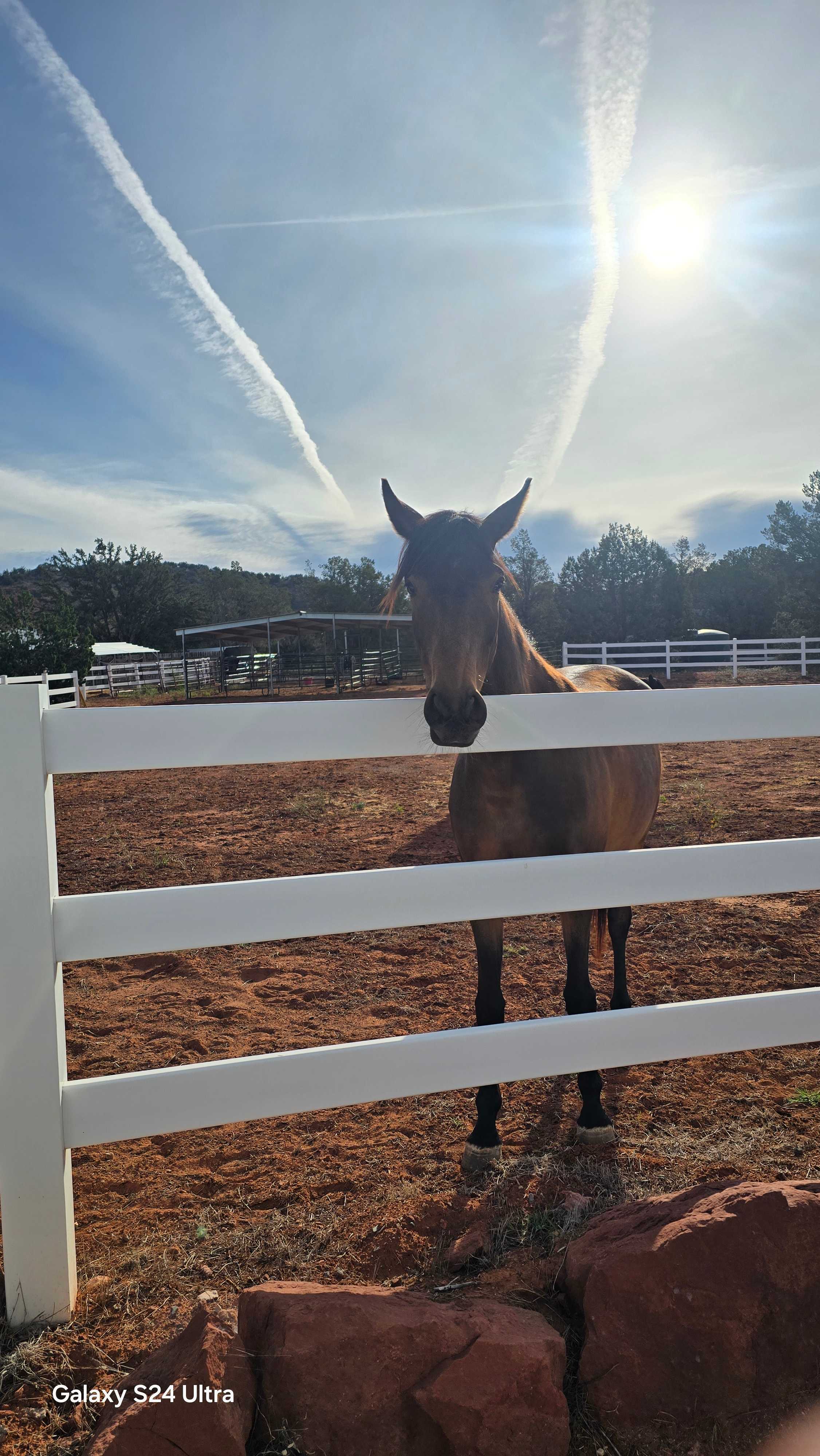 Red Rock Camp Horses Welcome