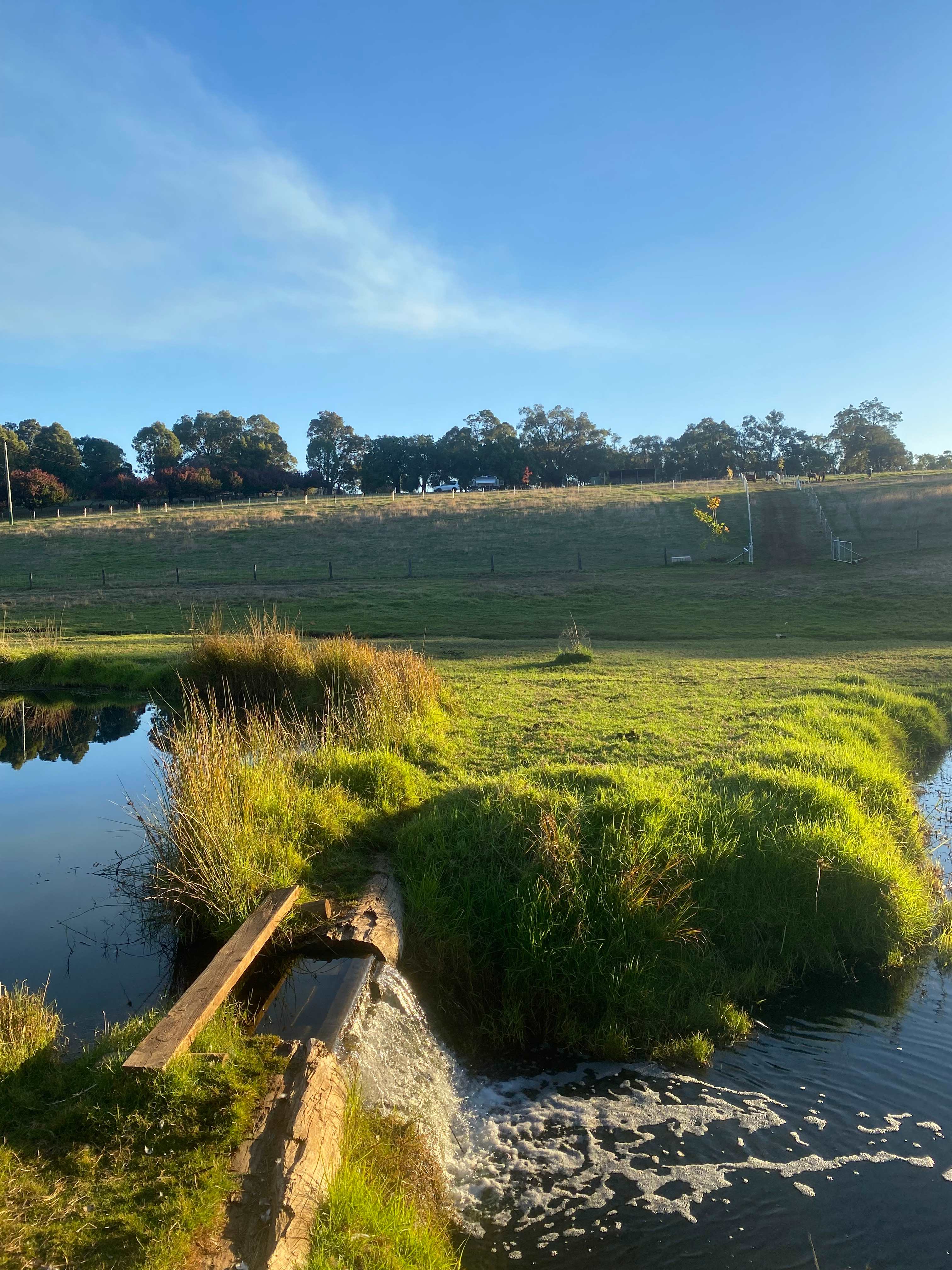 SunnyBrook Farm