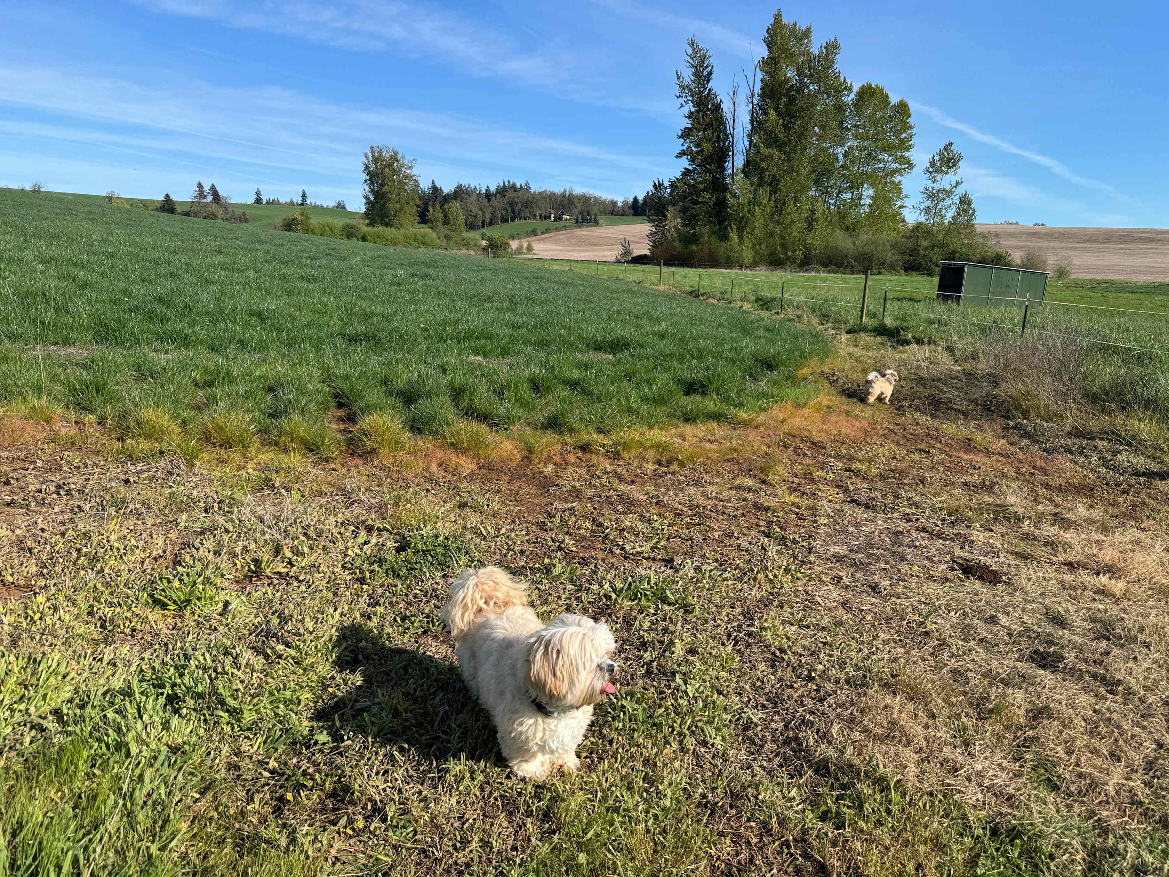 Ruah Ranch
