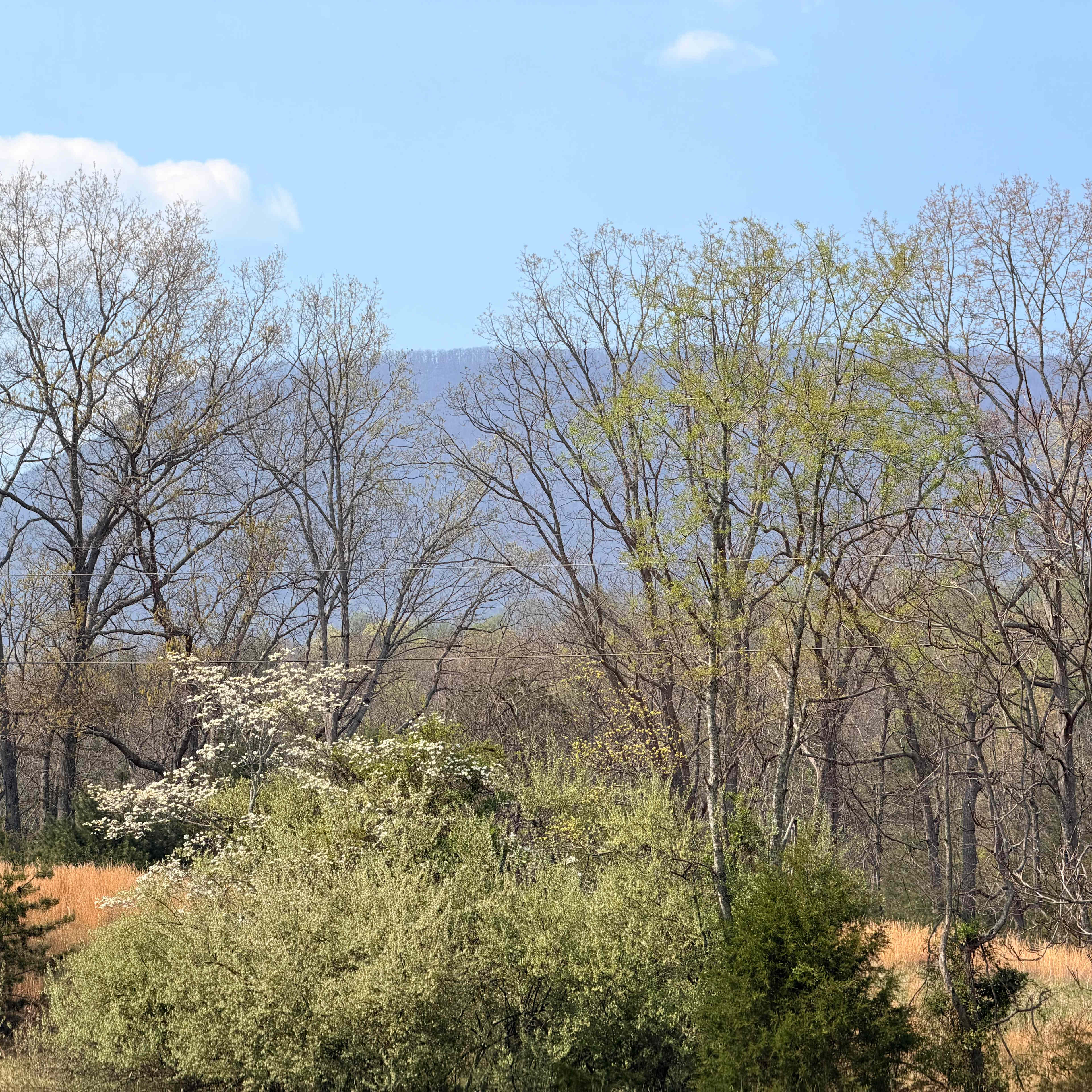 Camping at Oak Grove