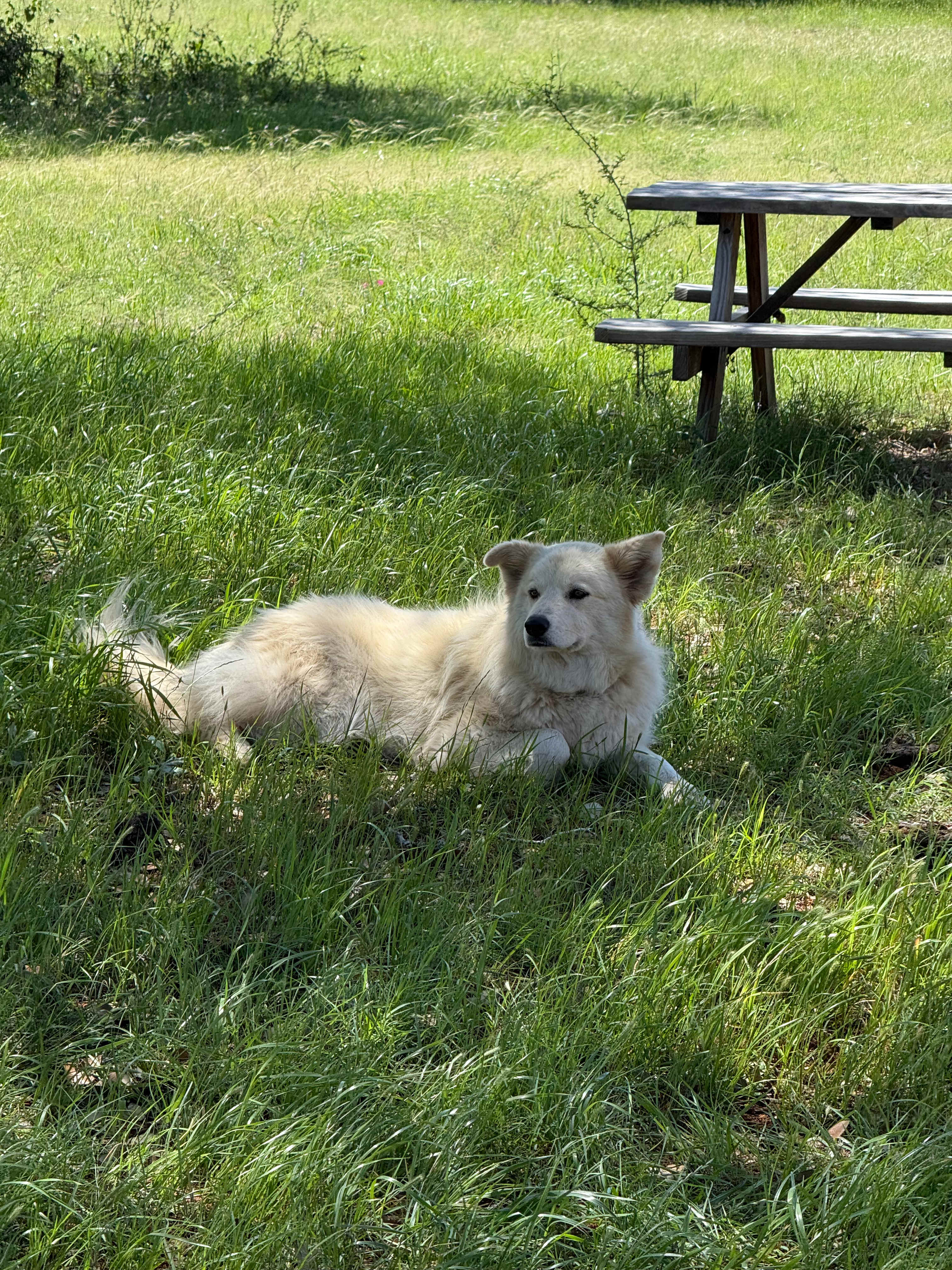 Starlove Ranch & Animal Sanctuary