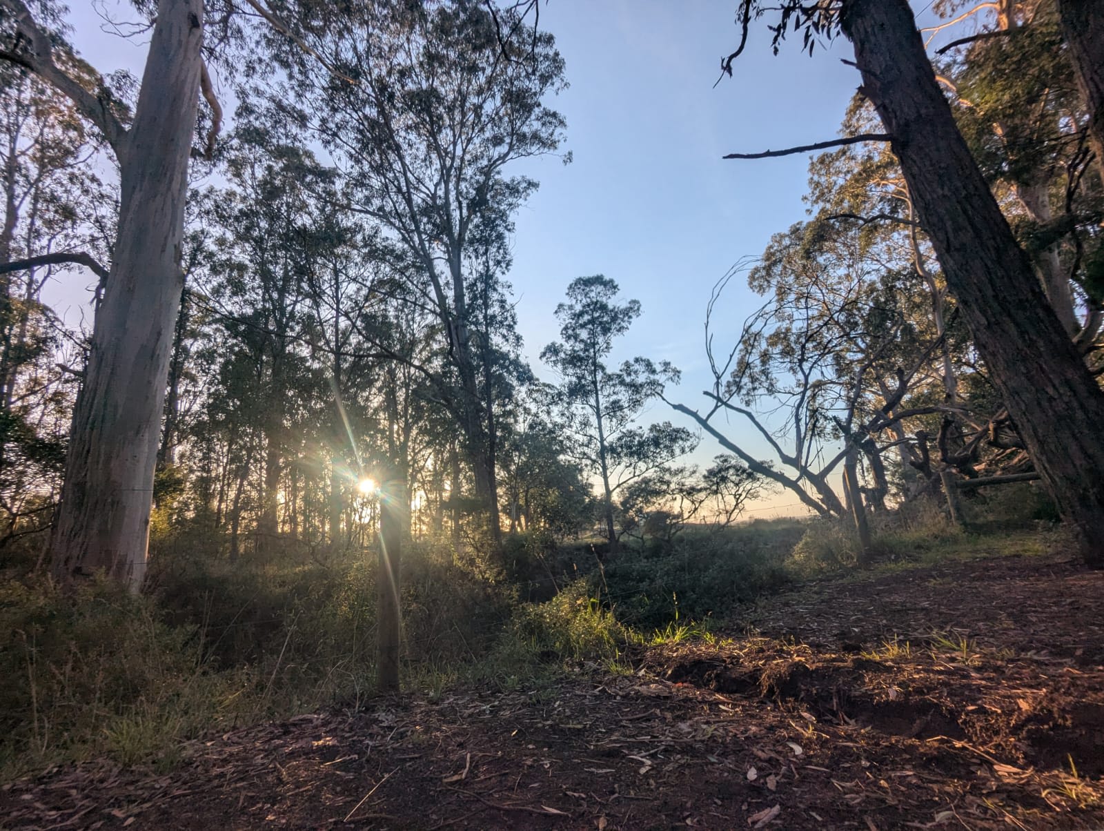 Gordens Track Camping Grounds
