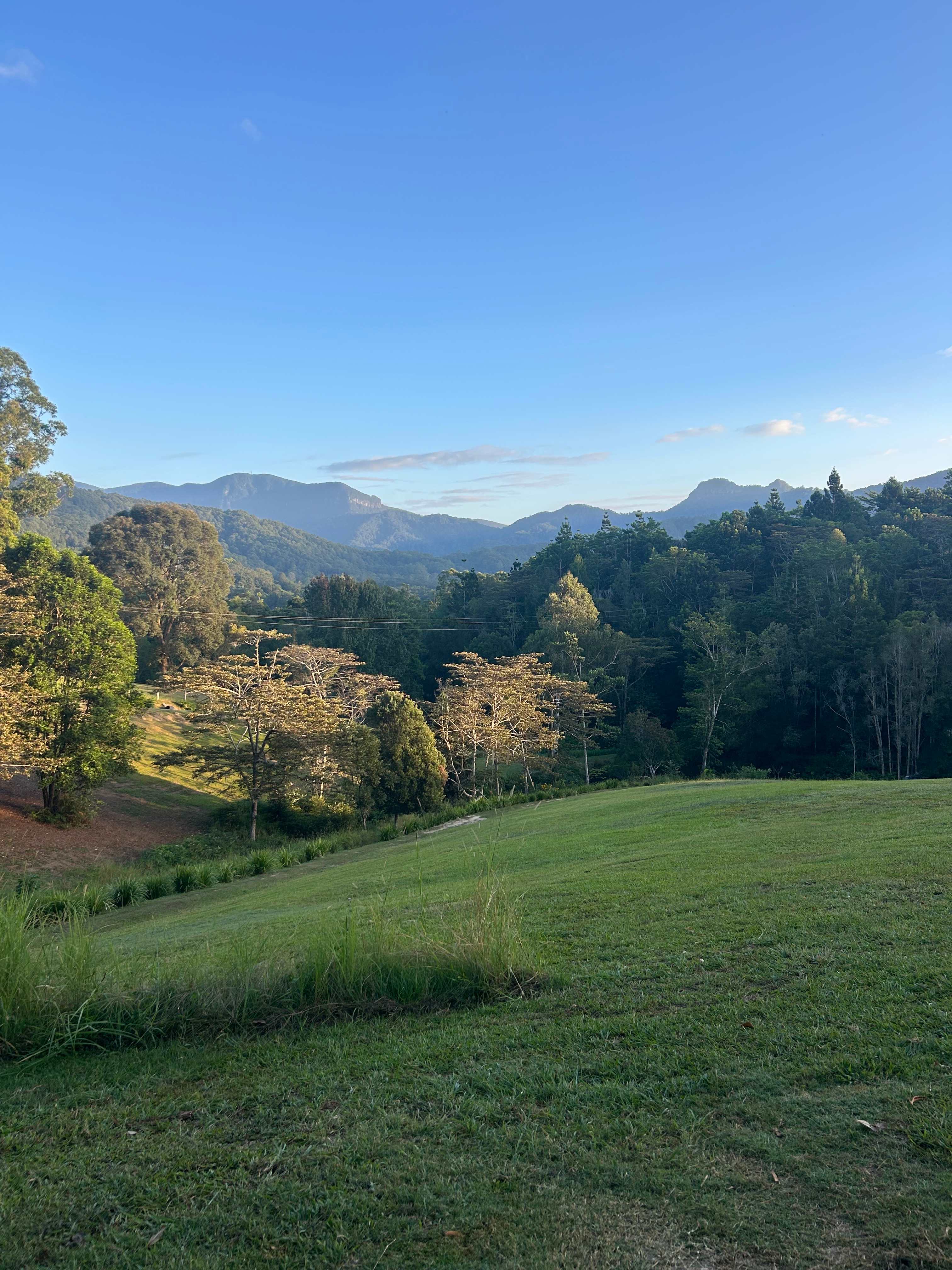 Sarah’s Farm🕊️ 4wd