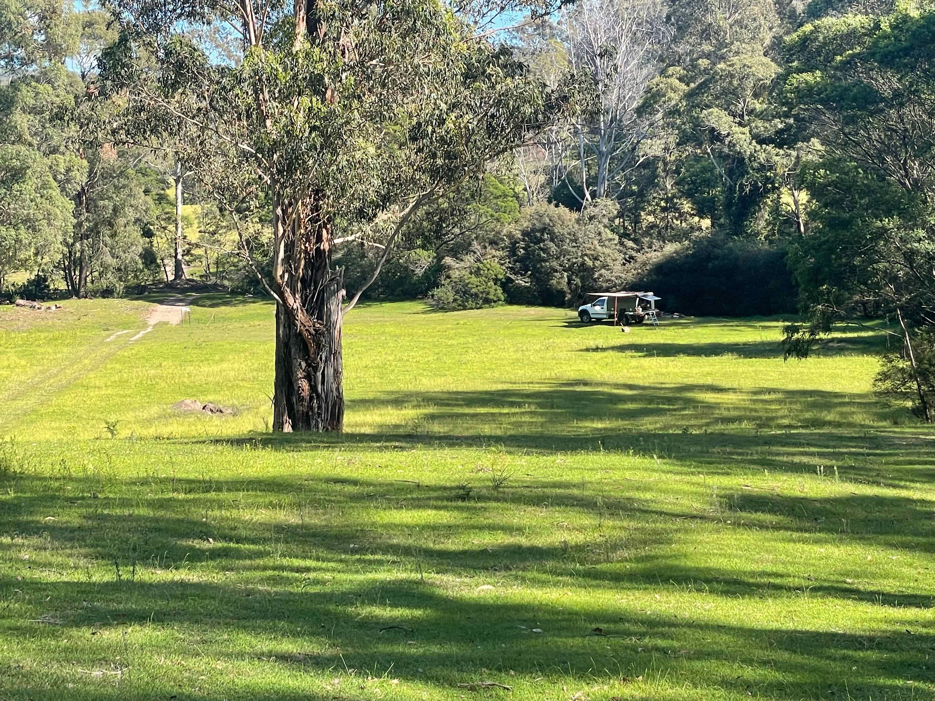 Merimbula Camping