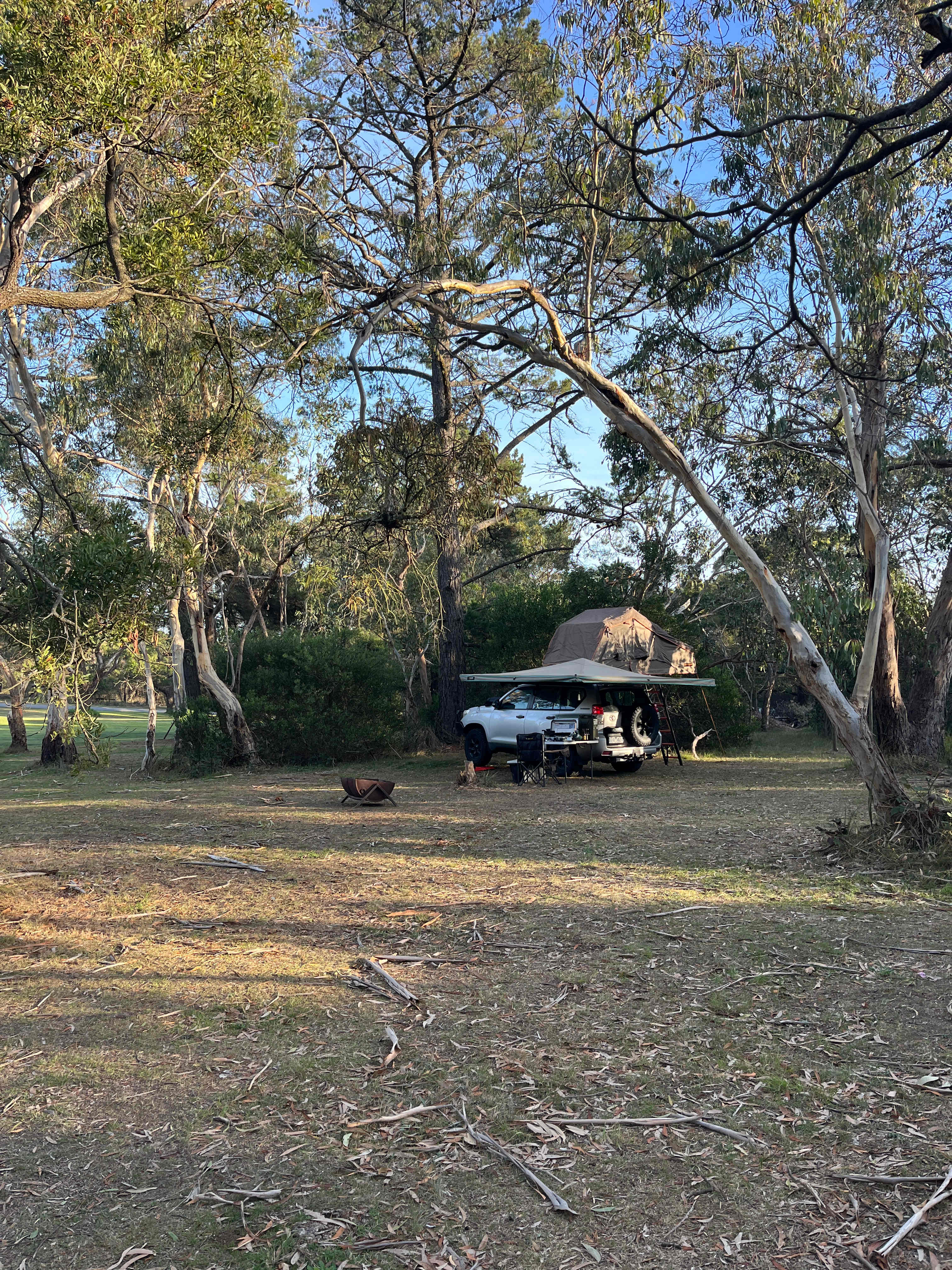 Bay Park Adventure Centre