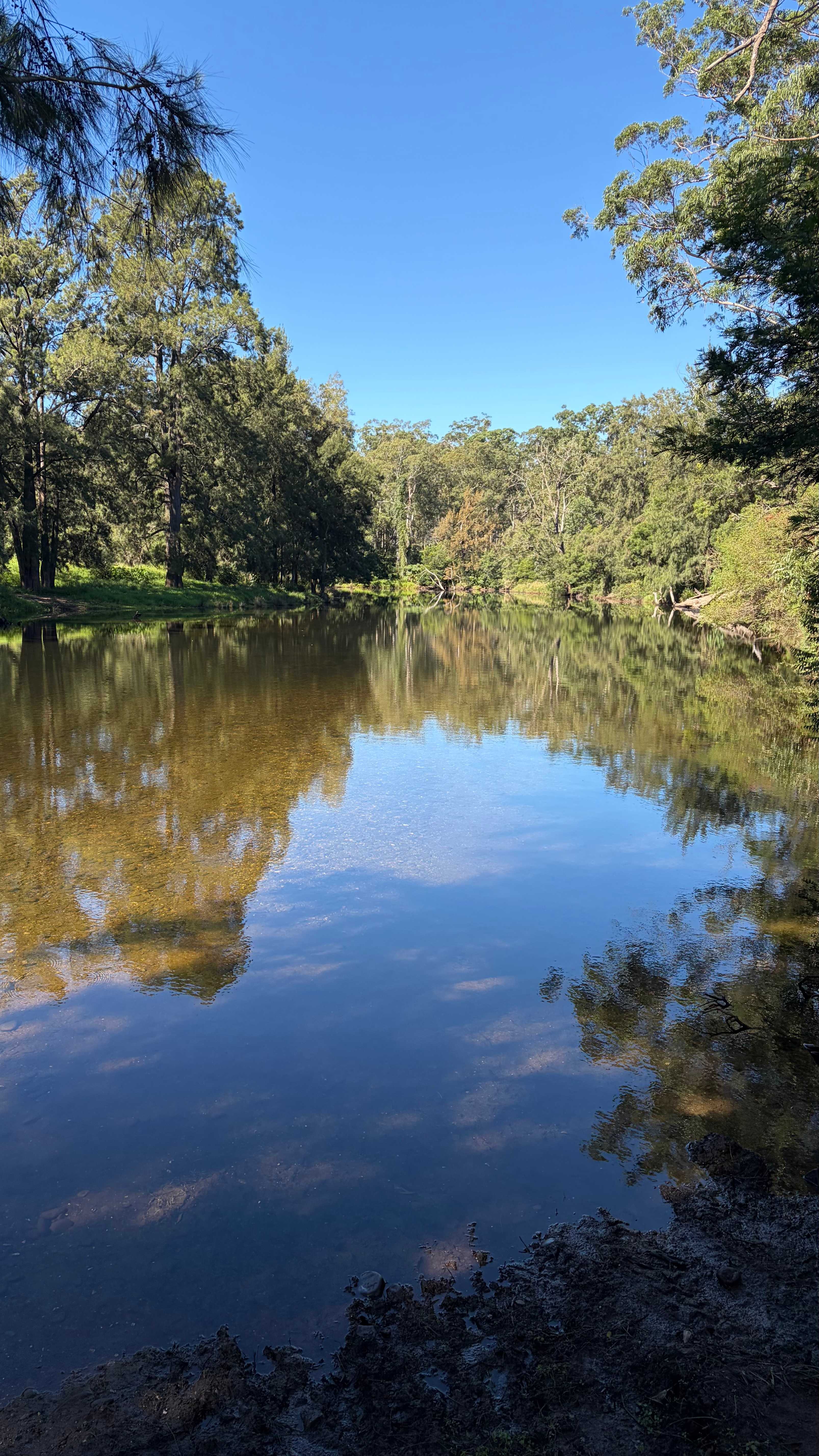 River Run Farm