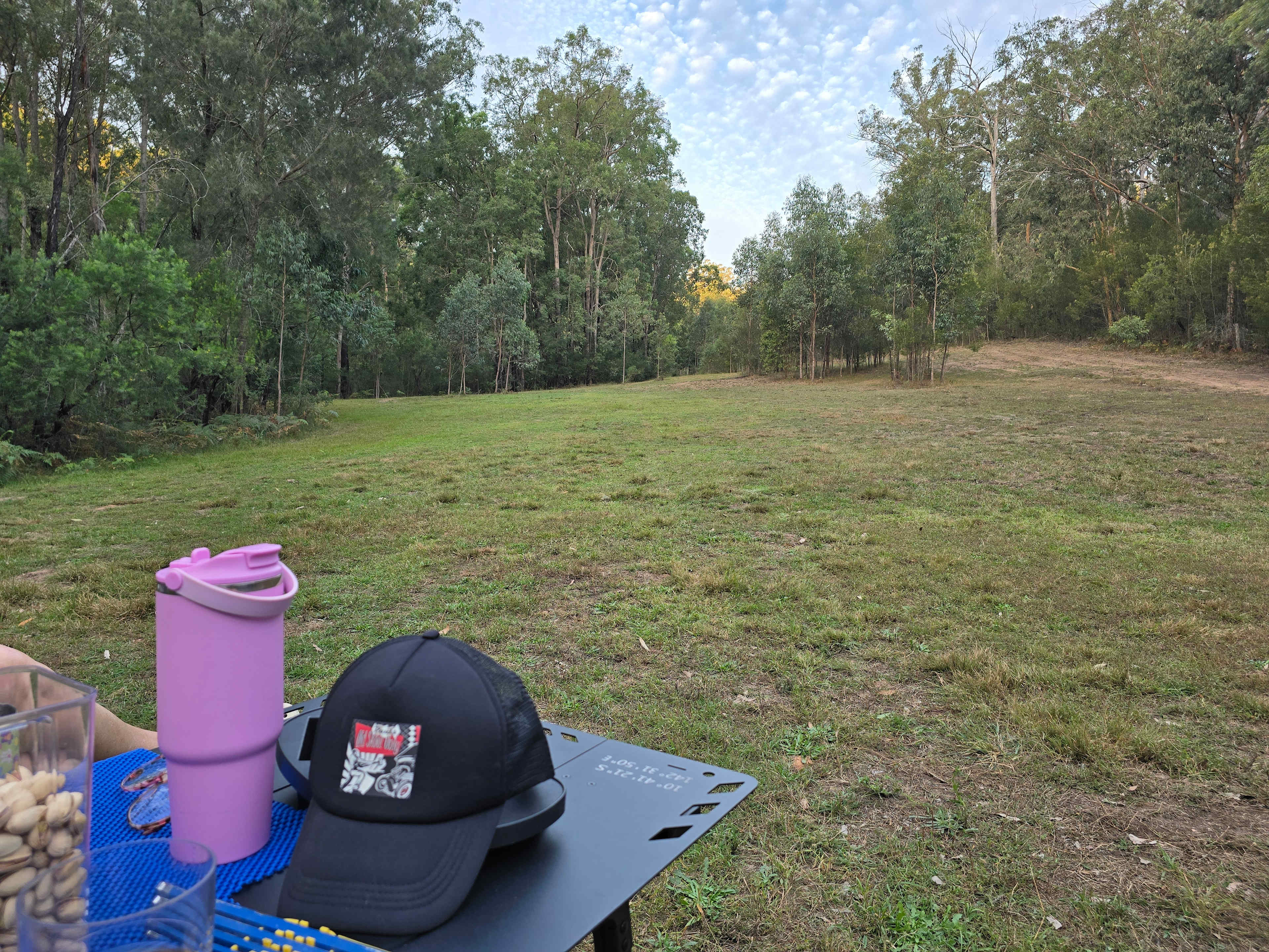 Wollombi Springs