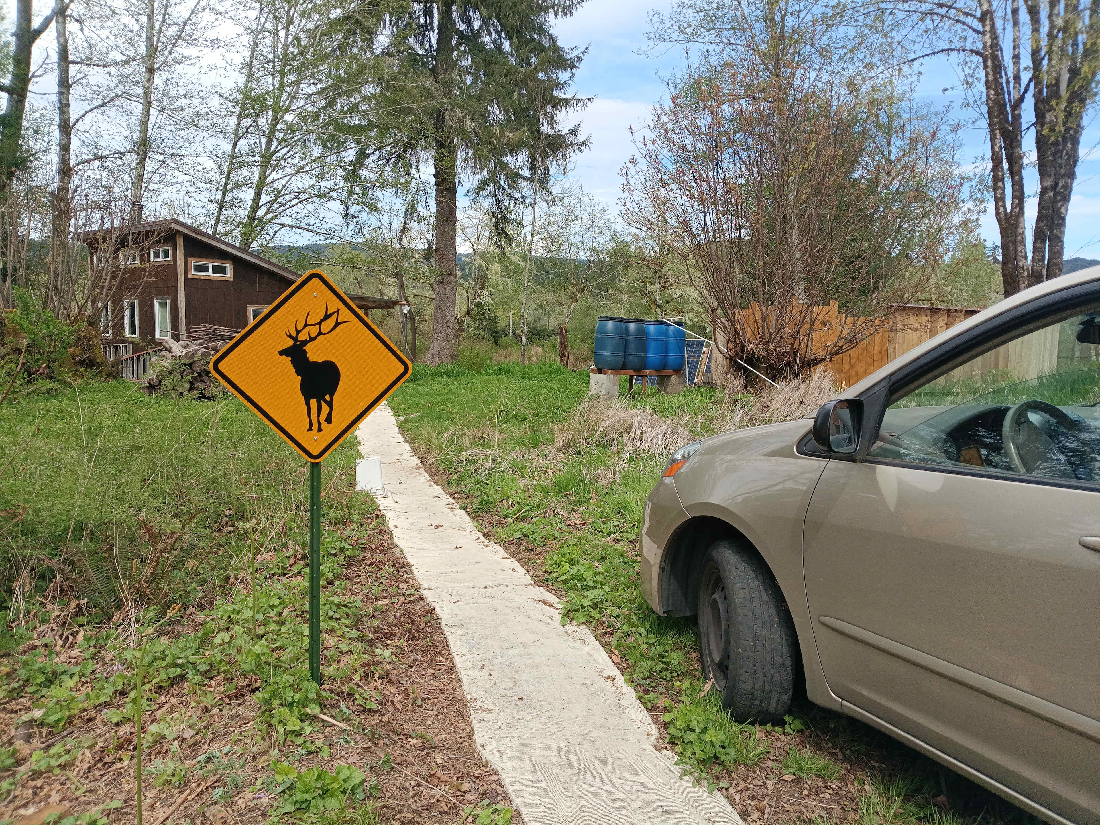 Picture of the site