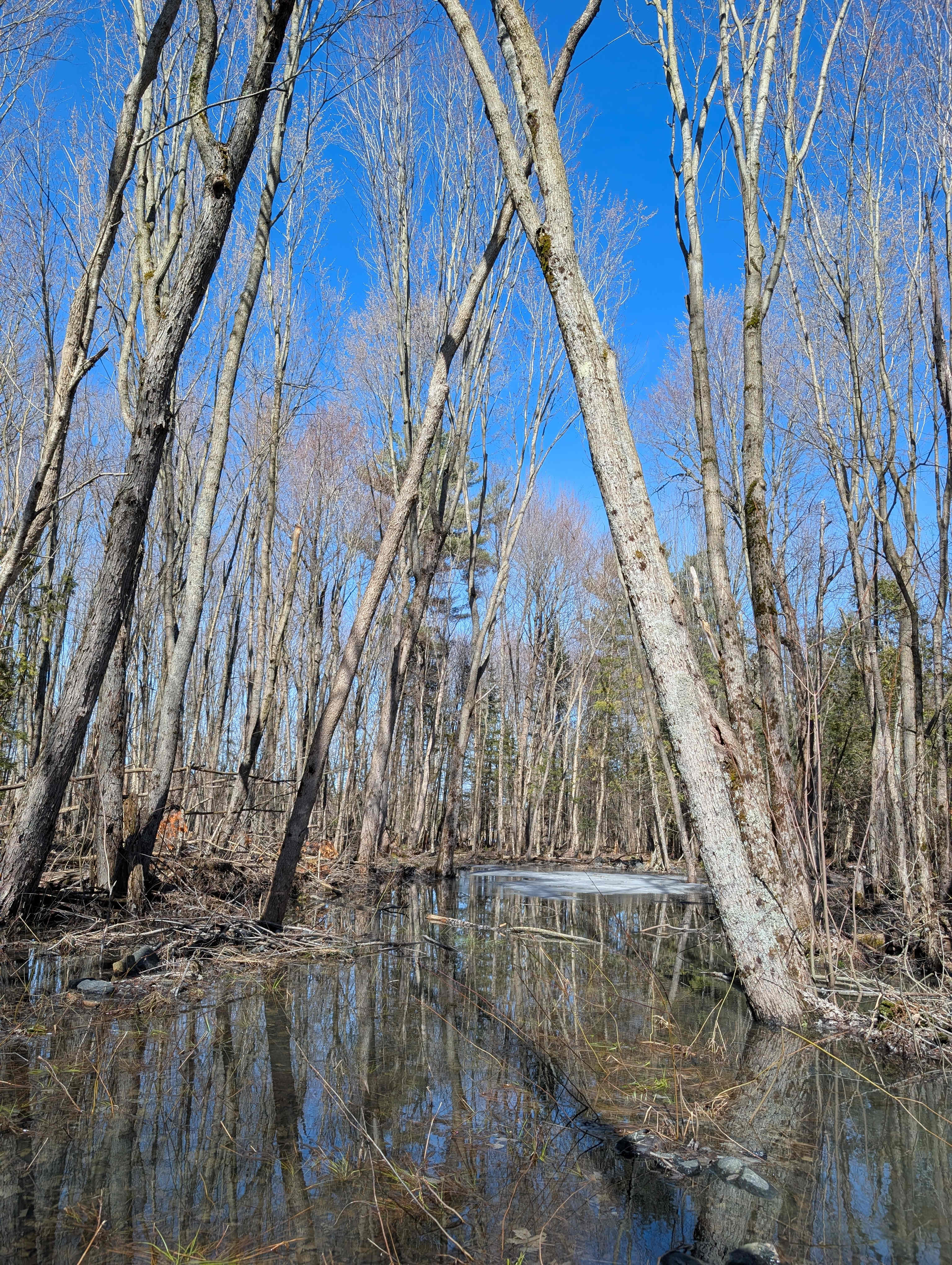Tait's Island Retreat- Private Camp