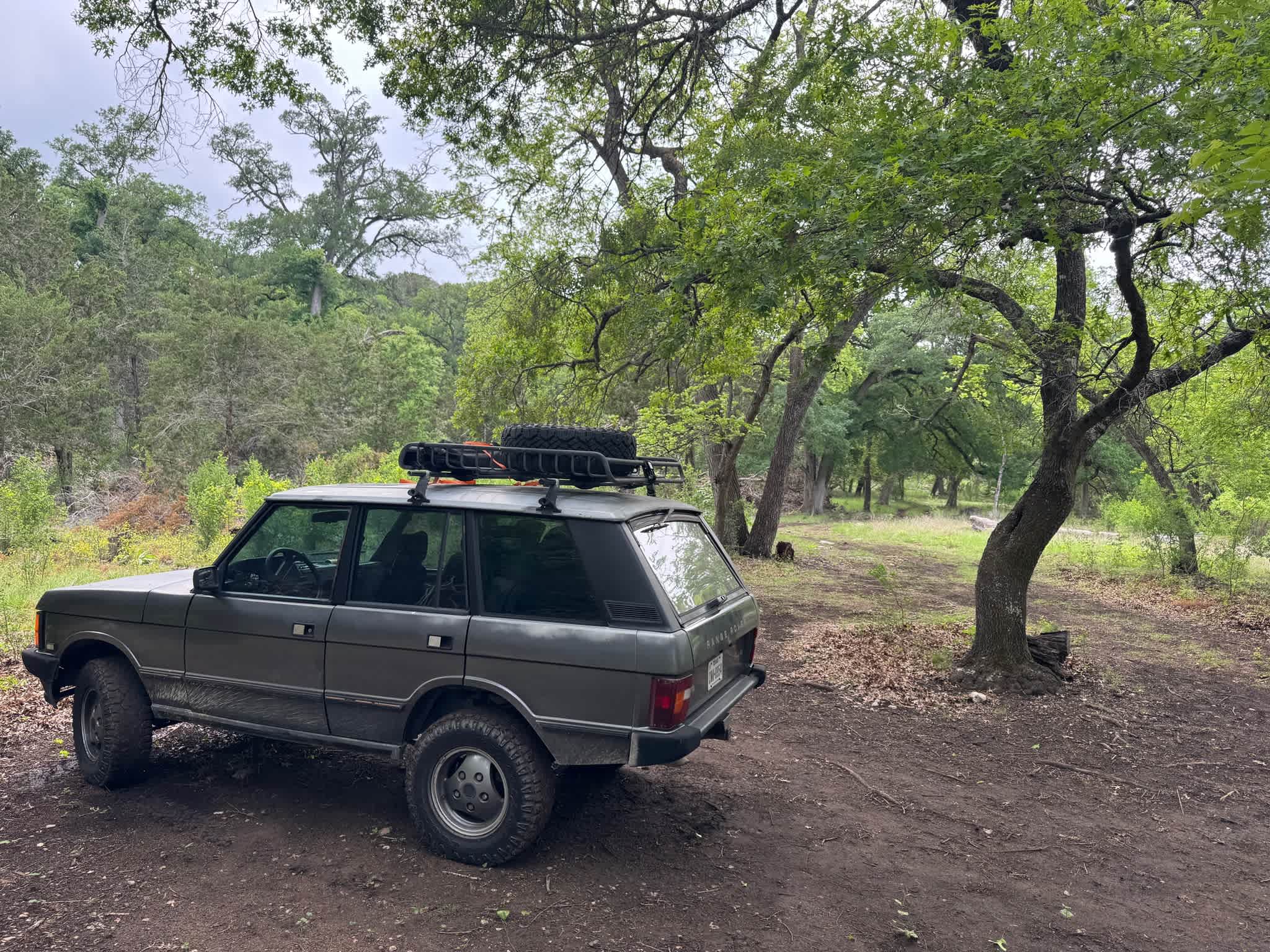 Nice drive in with a 4x4.