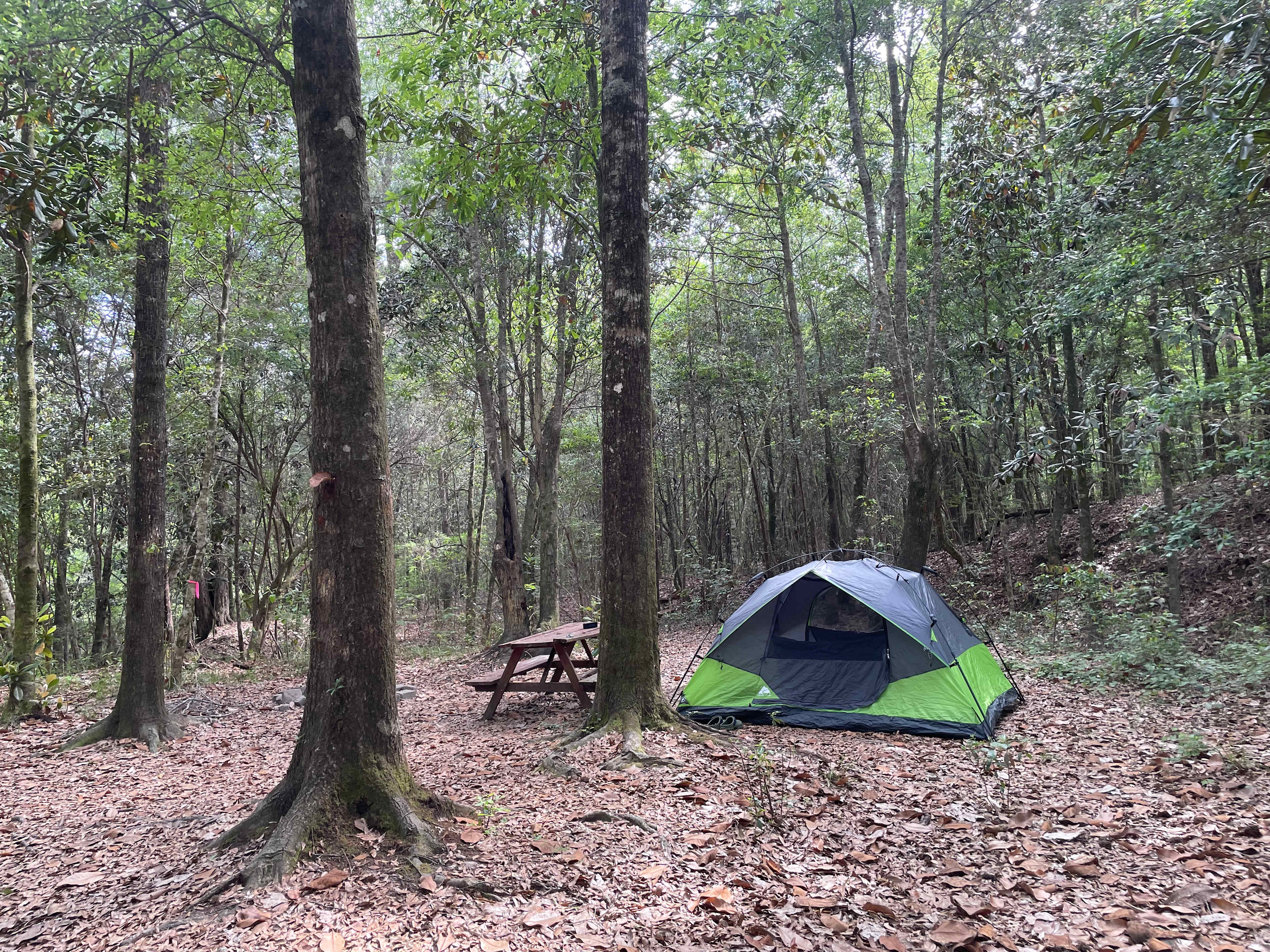 site #4
