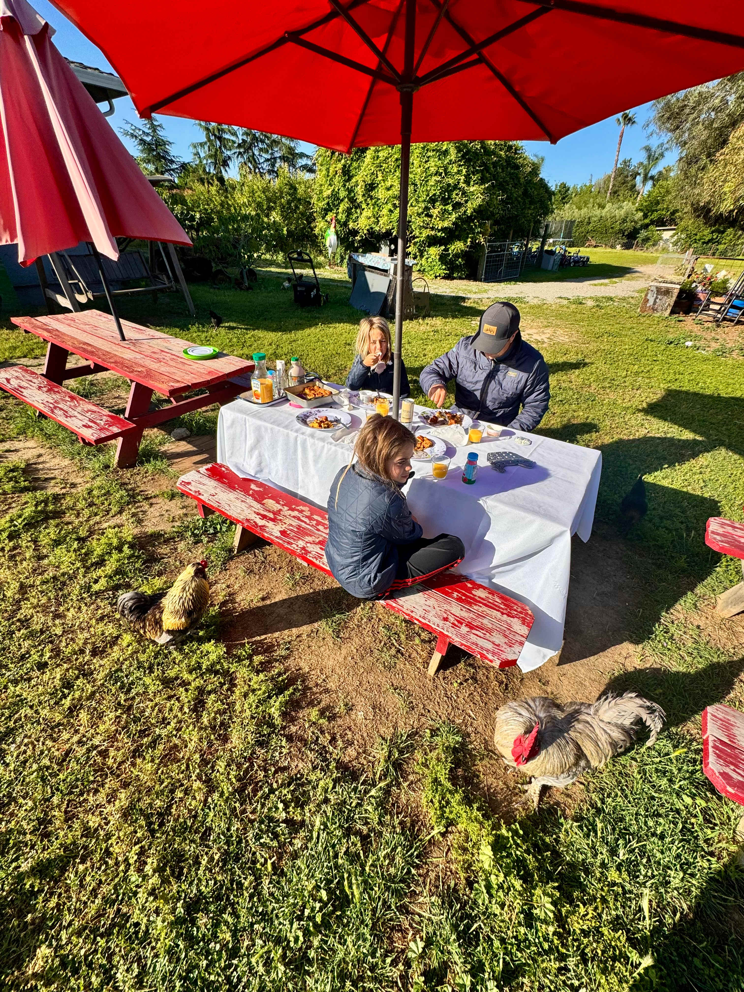 Windsor Family Farm