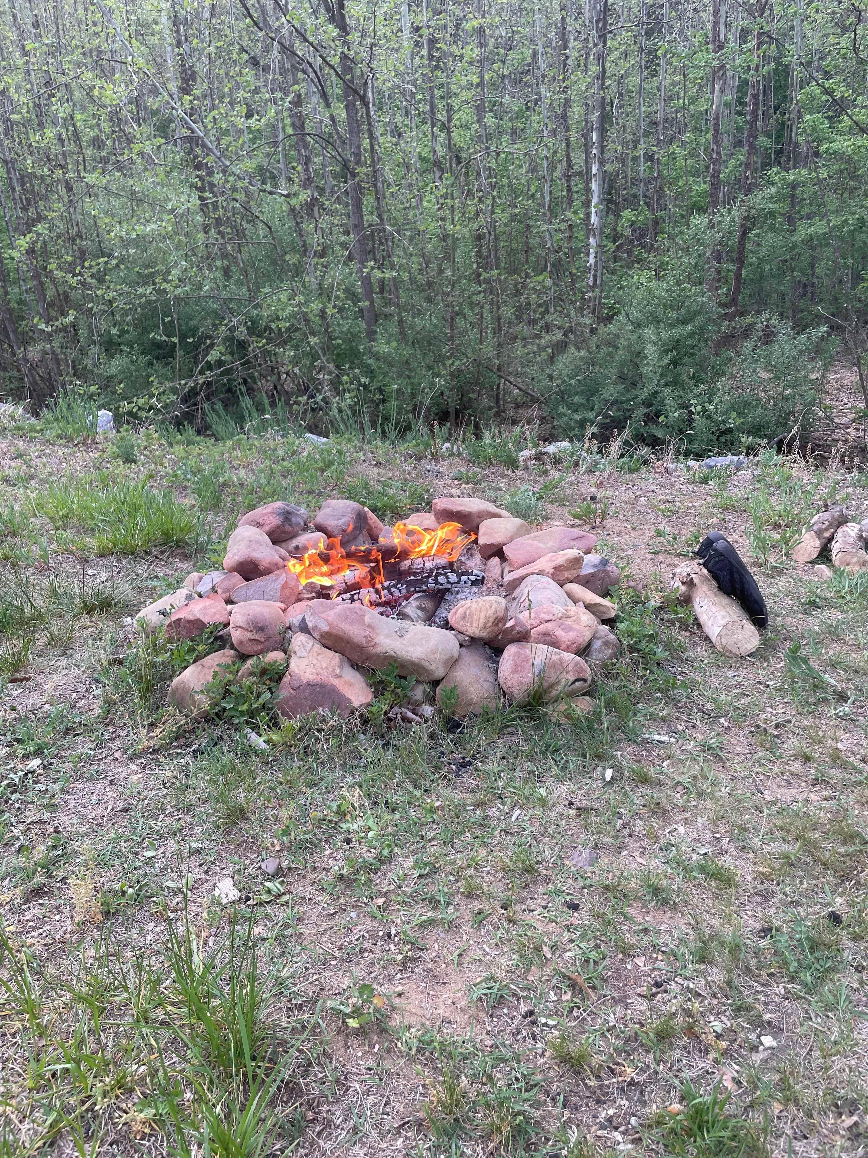 Swedish Lilac Campground & Events