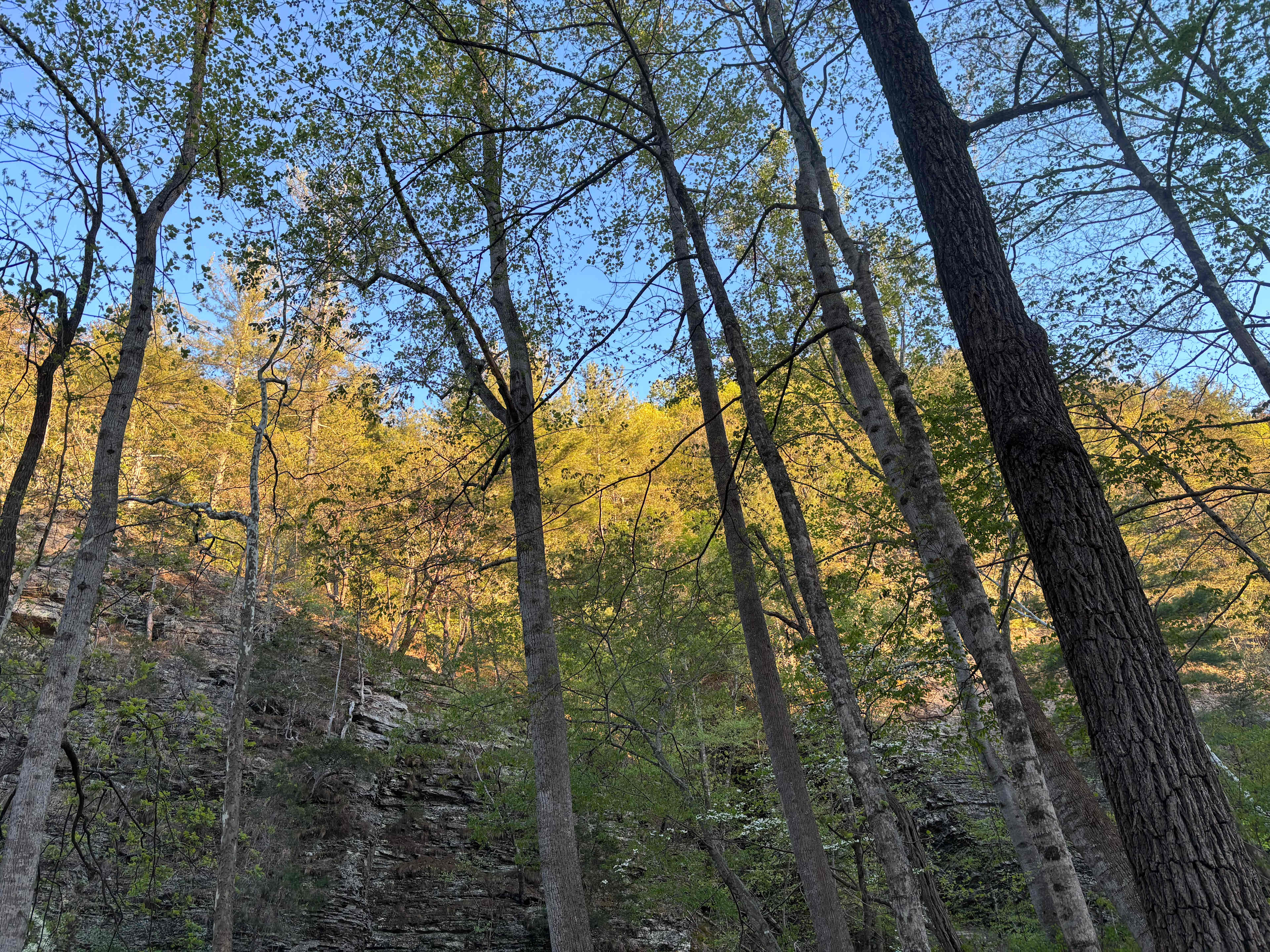 Savage Acres on Craig Creek